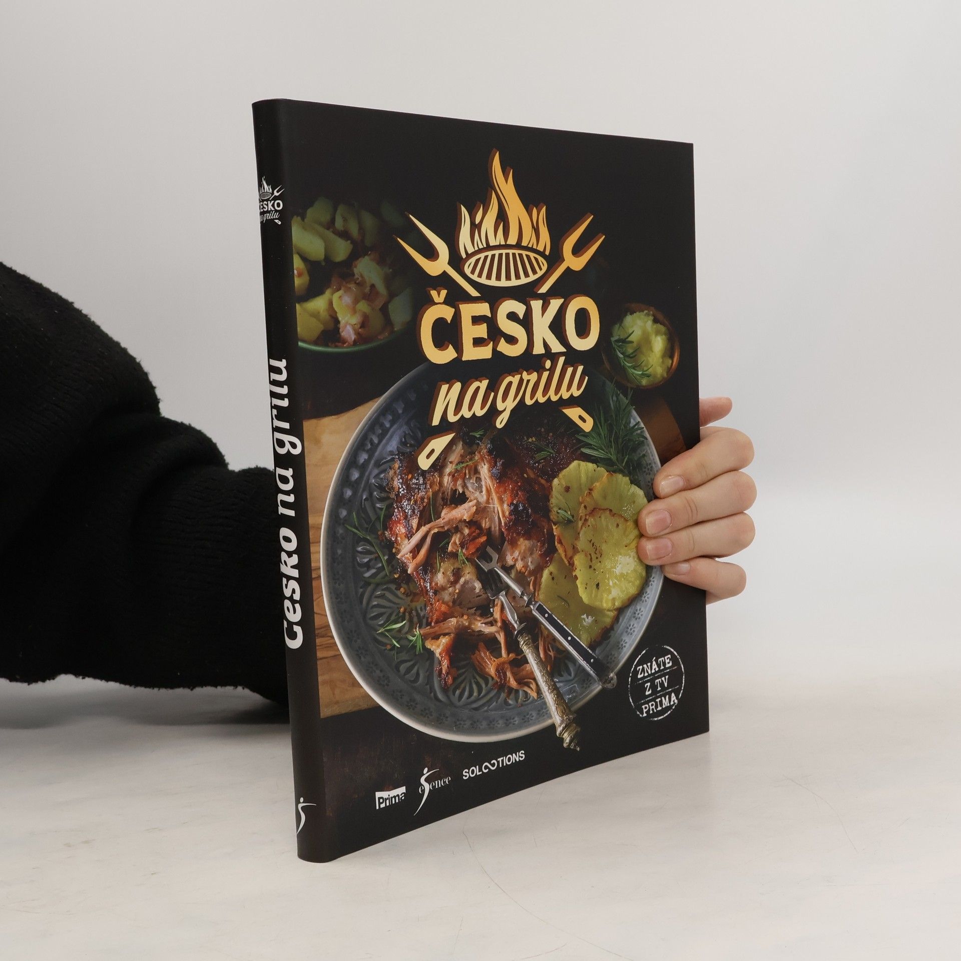 Kolektiv autorů Česko na grilu