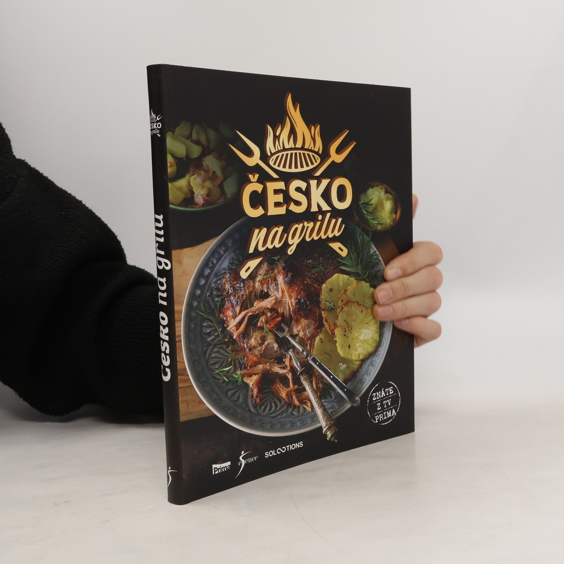 Kolektiv autorů Česko na grilu