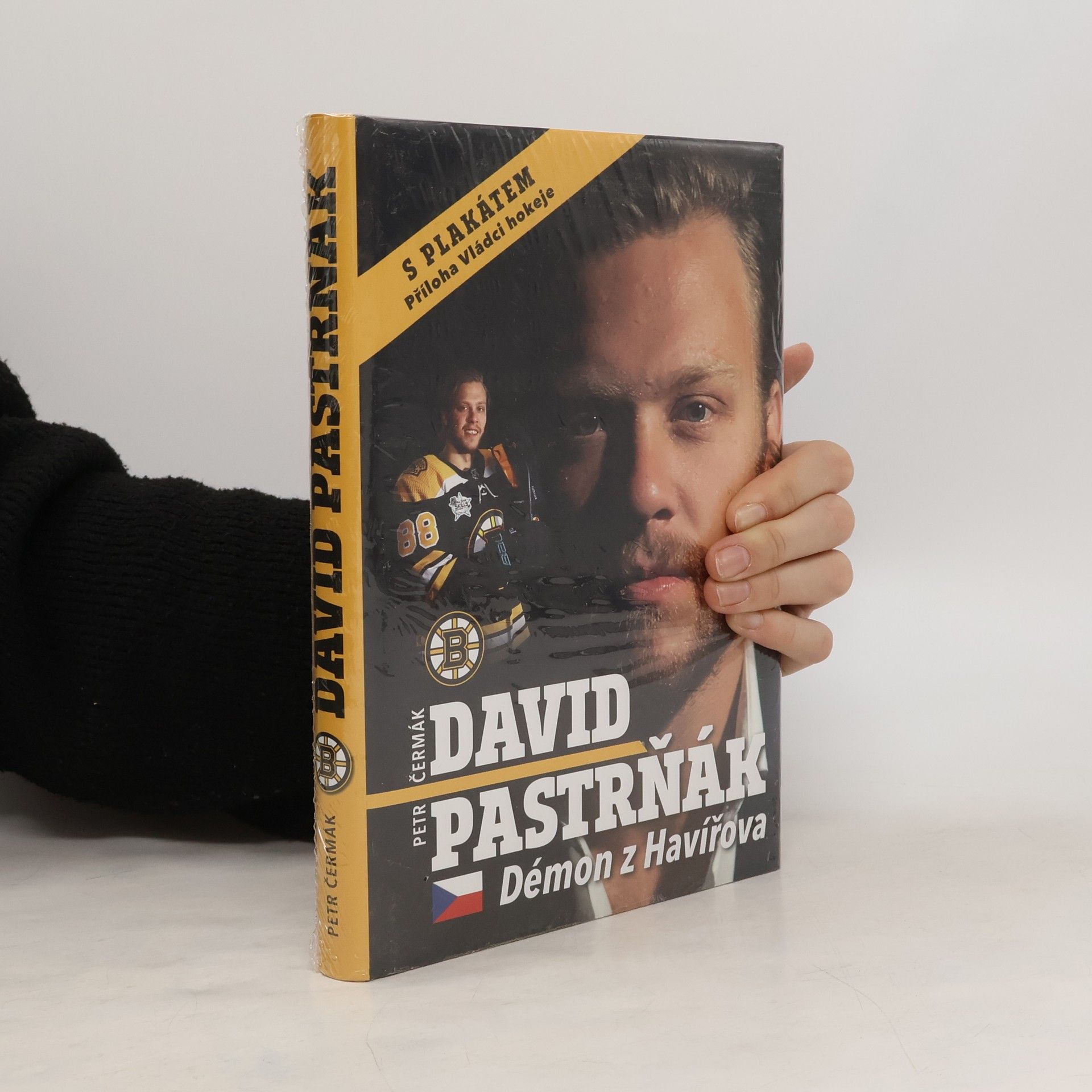 Petr Čermák David Pastrňák