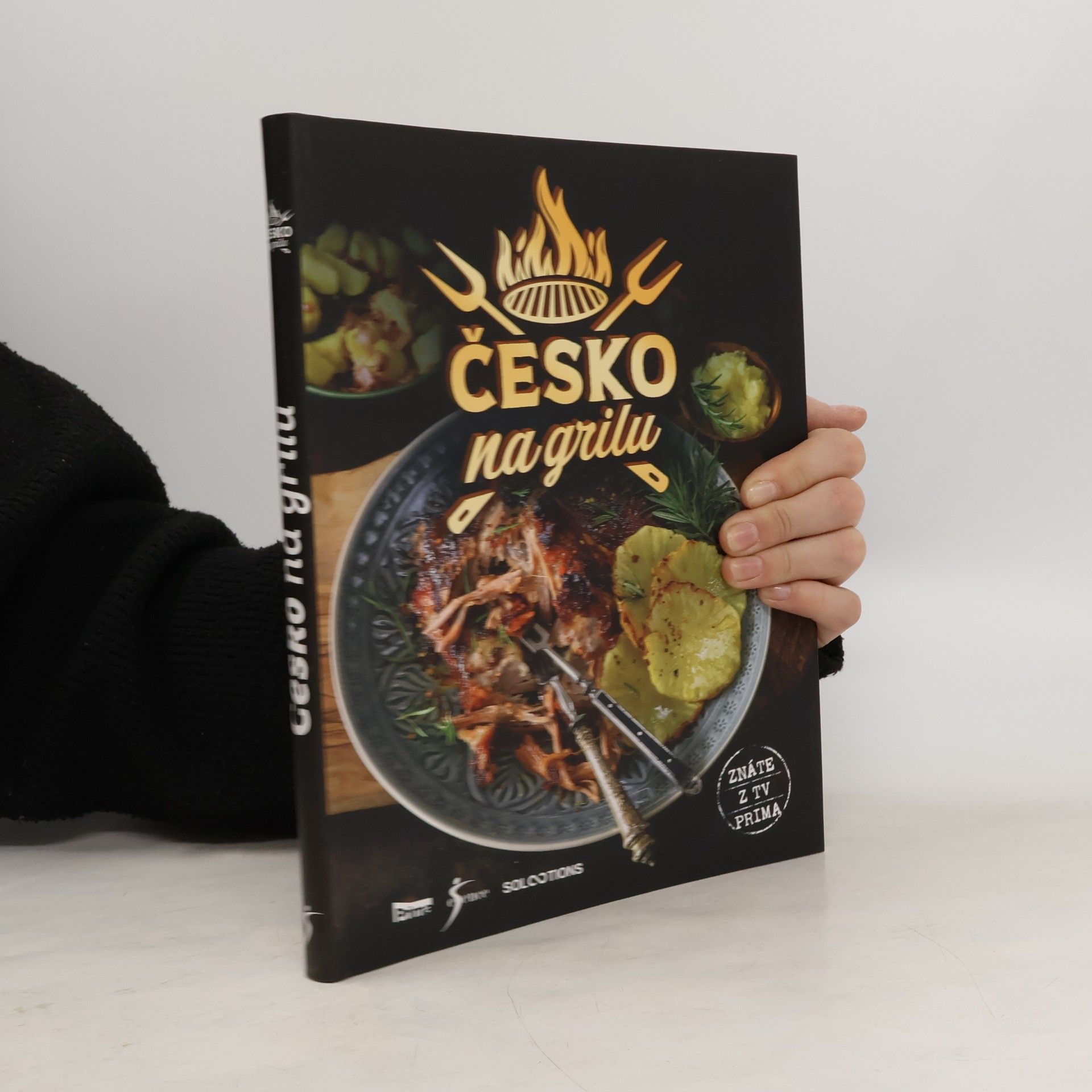 Kolektiv autorů Česko na grilu