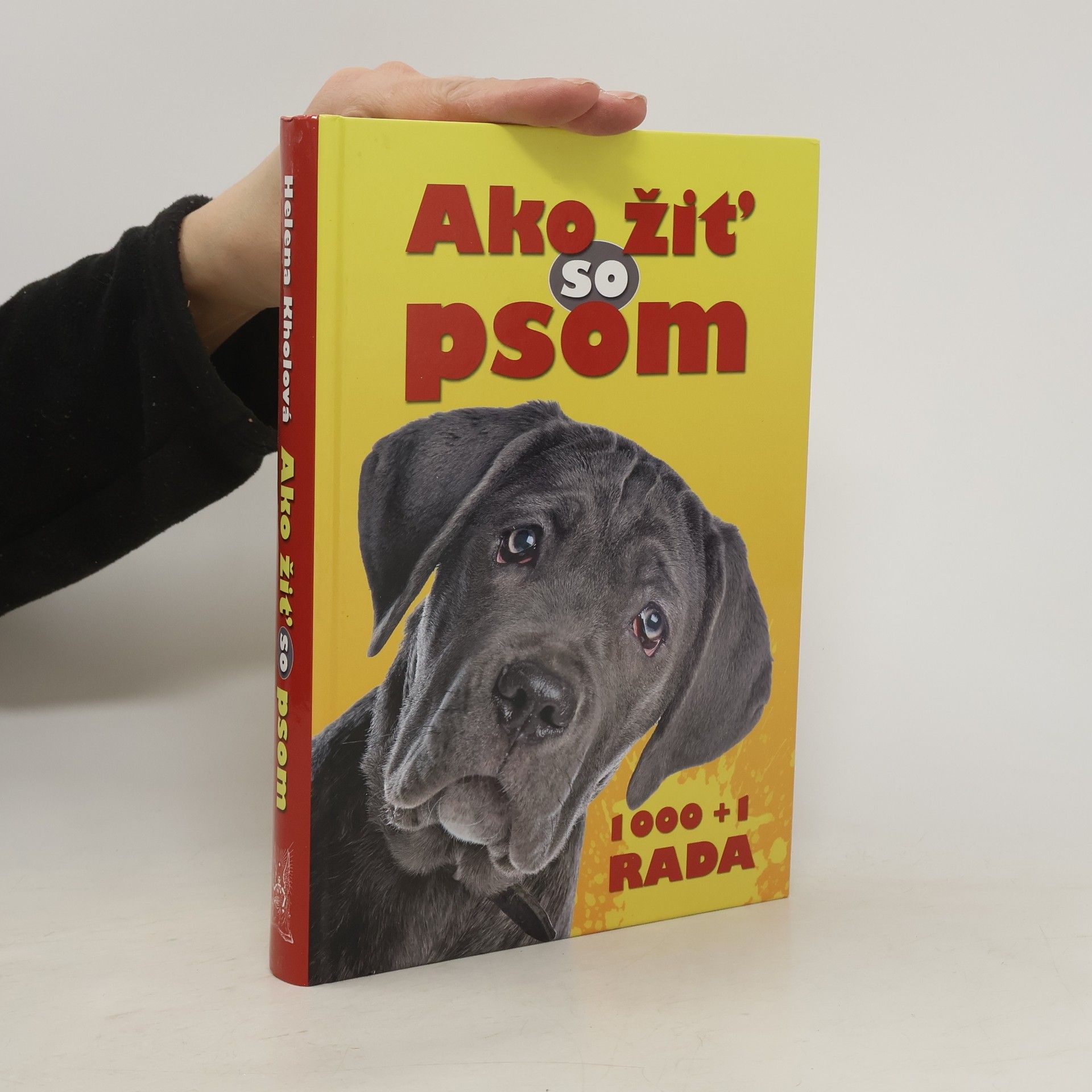 Autorenkollektiv Ako žiť so psom