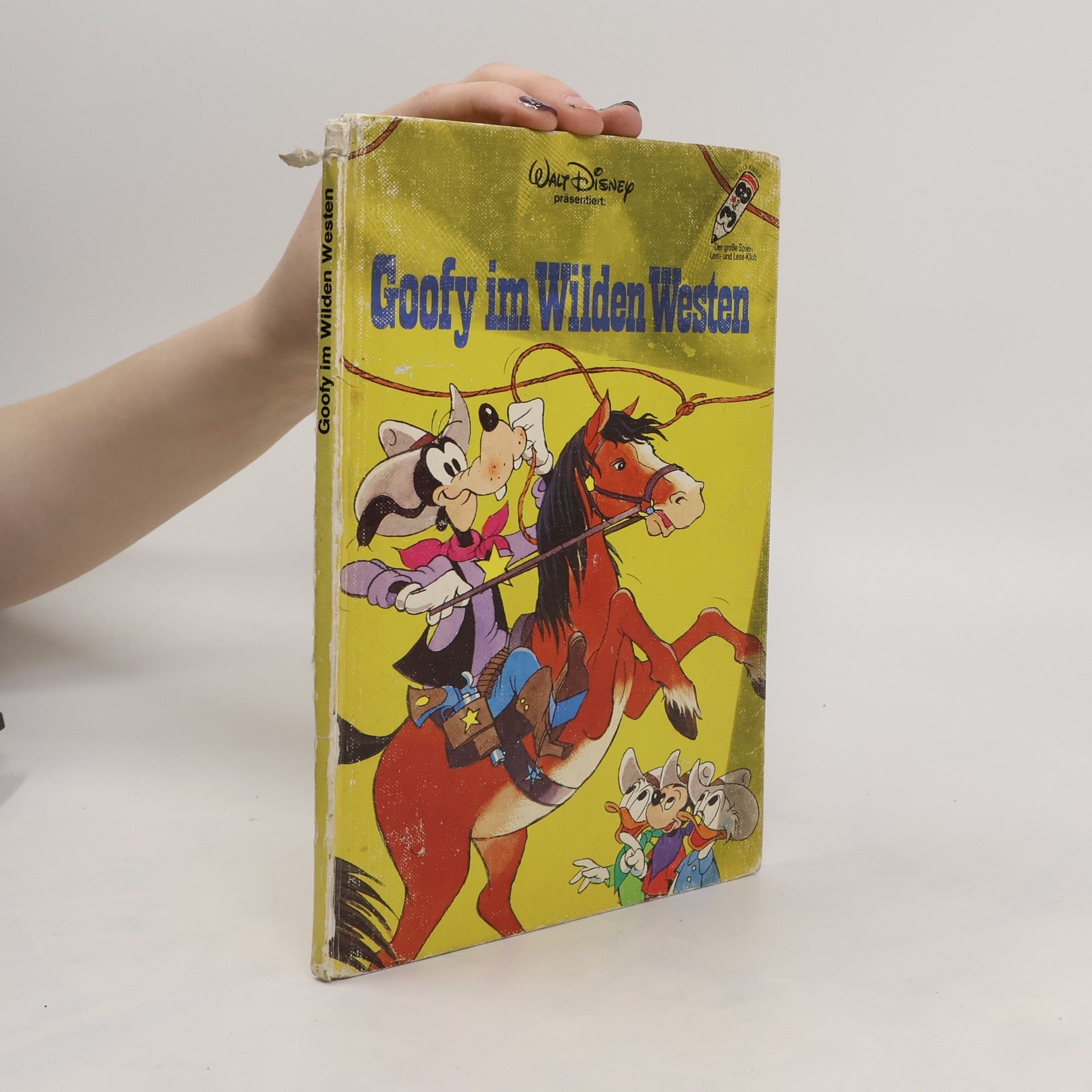 kolektiv Goofy im Wilden Westen