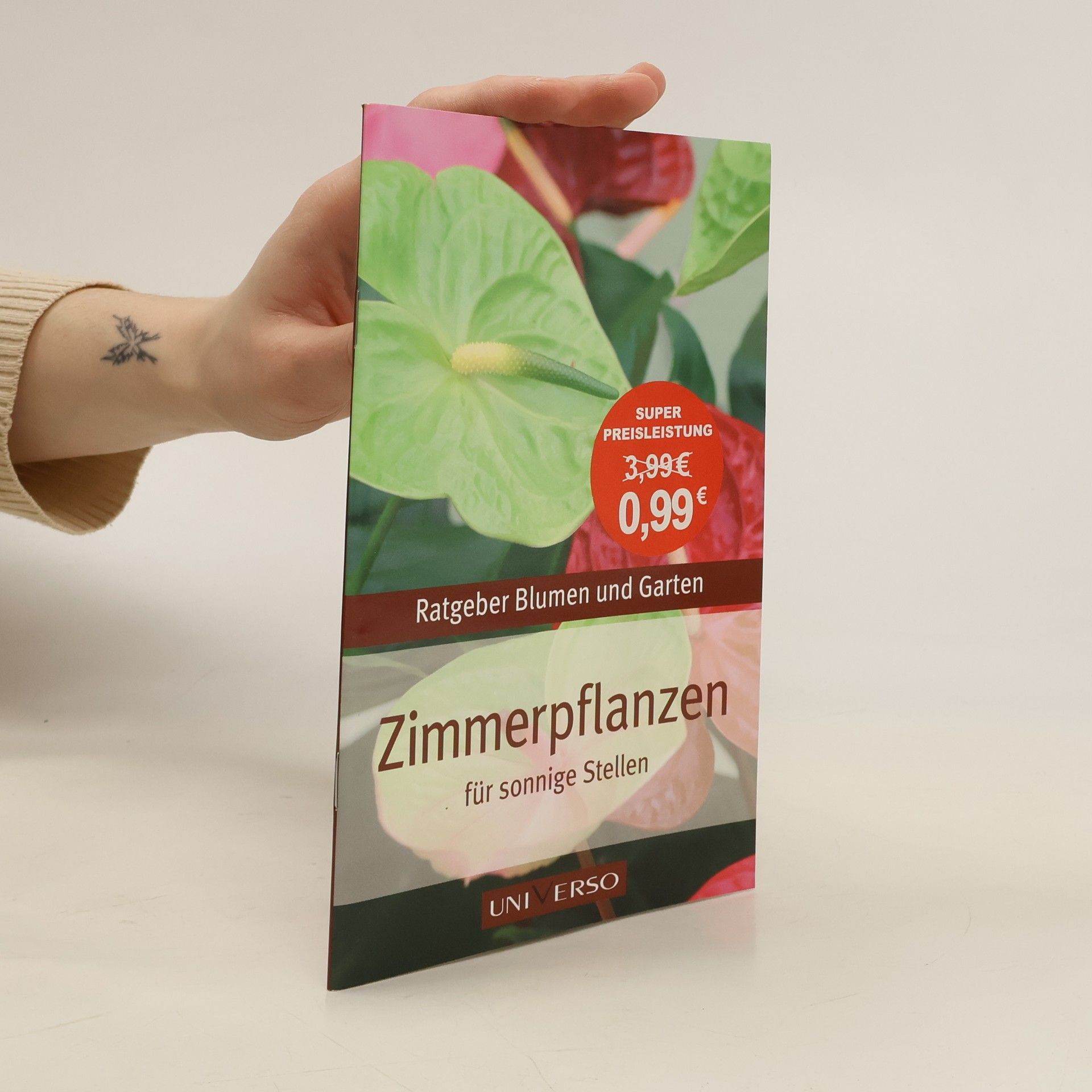 kolektiv Zimmerpflanzen für sonnige Stellen