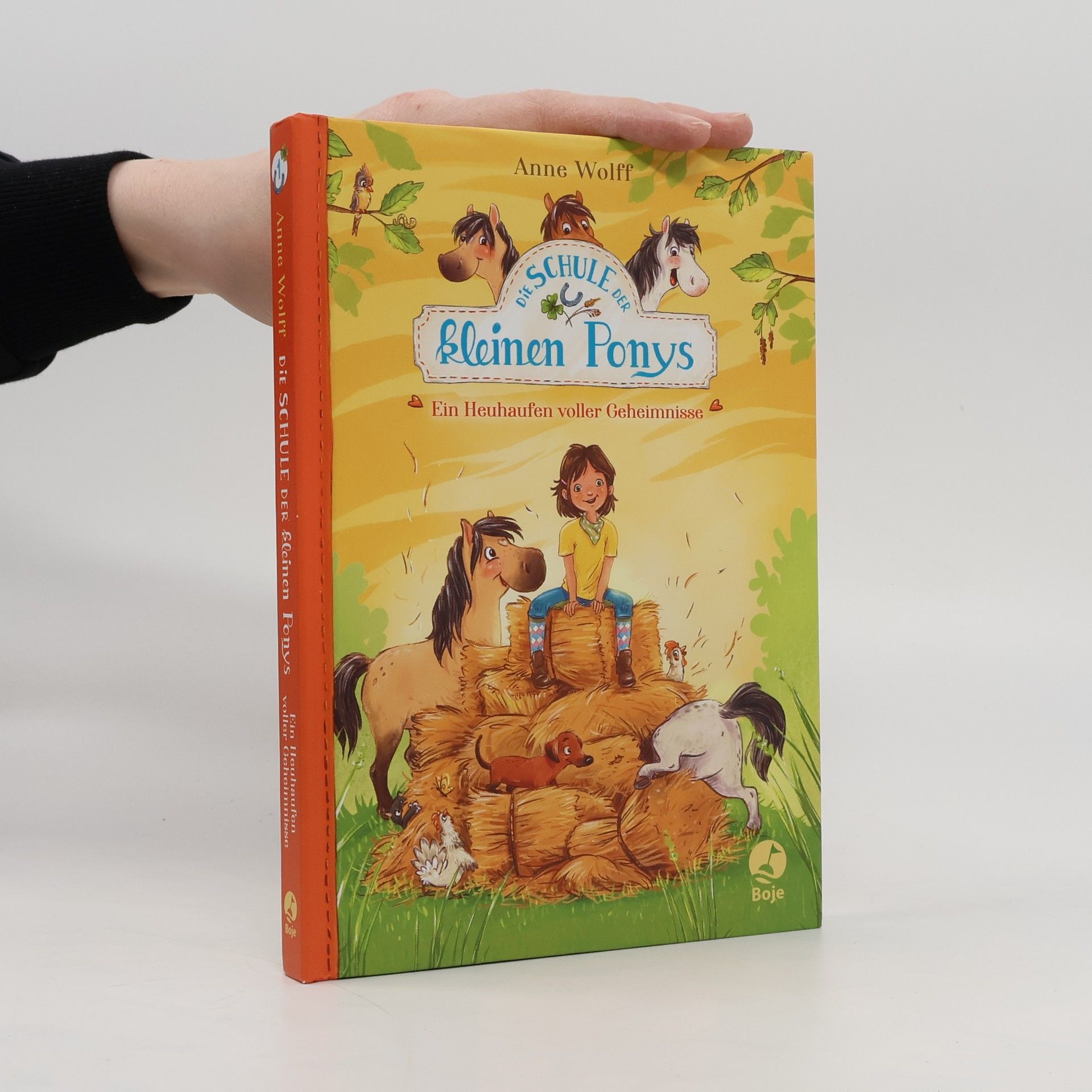 Anne Wolff Die Schule der kleinen Ponys