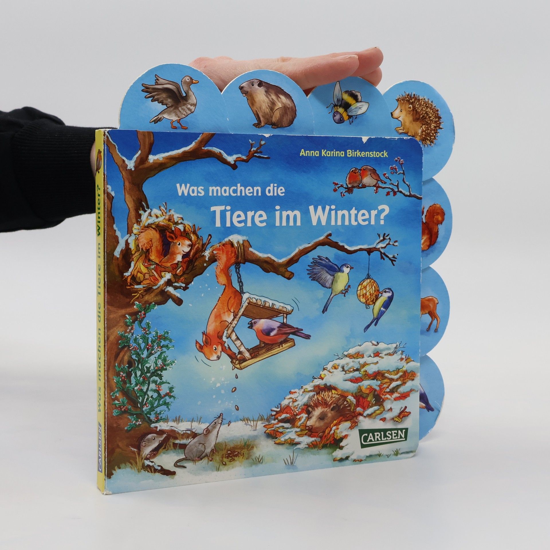 Anna Karina Birkenstock Was machen die Tiere im Winter?