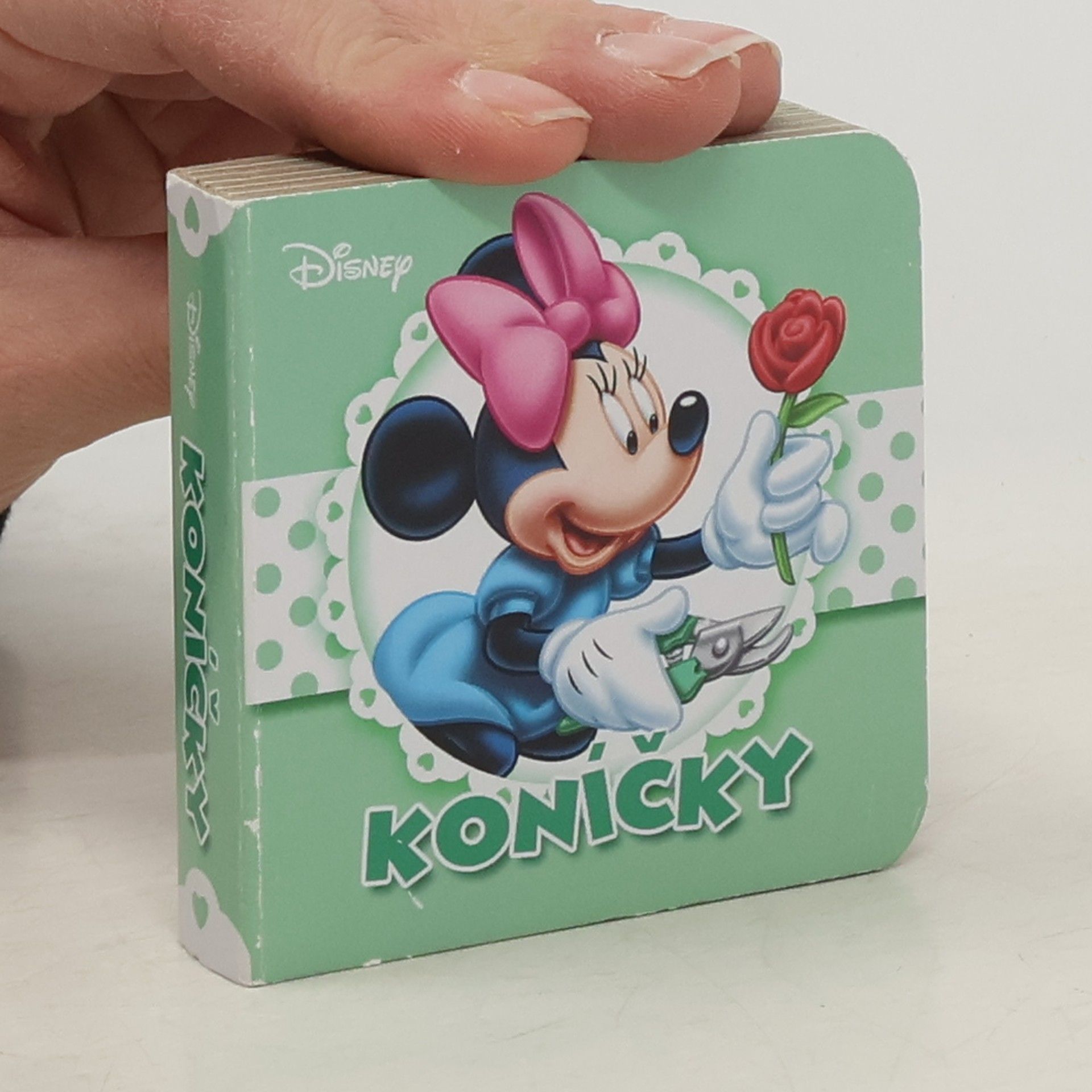 kolektiv Koníčky