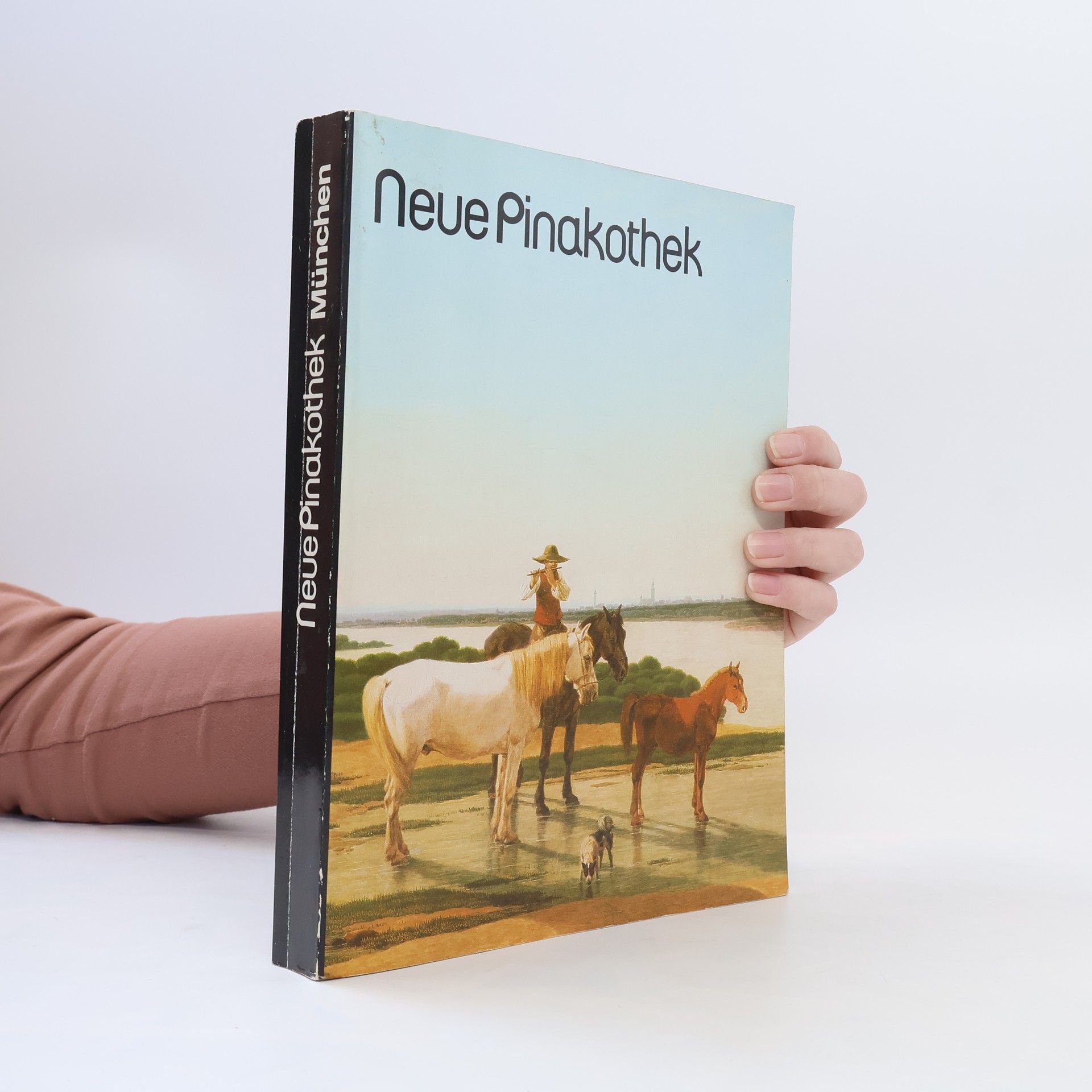 Autorenkollektiv Neue Pinakothek