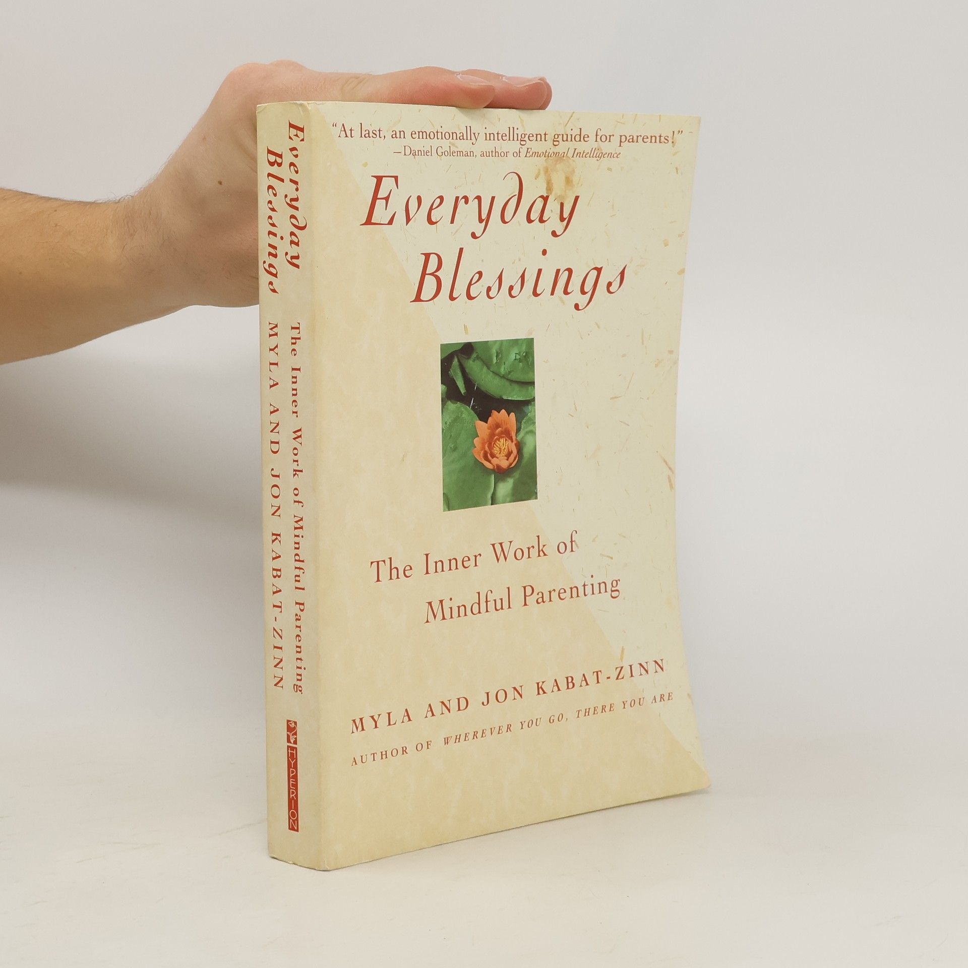 Myla Kabat zinn Everyday Blessings