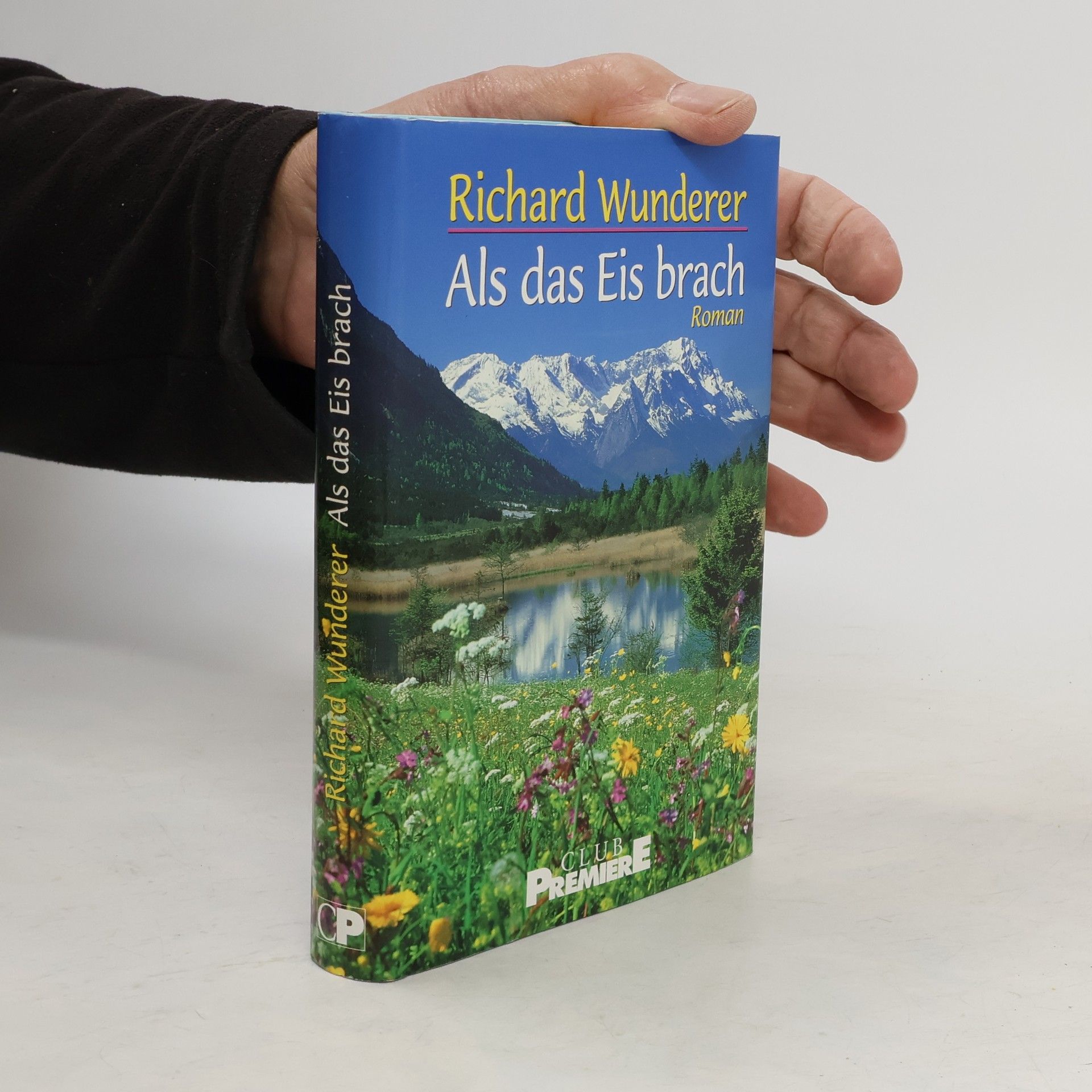 Richard Wunderer Als das Eis brach