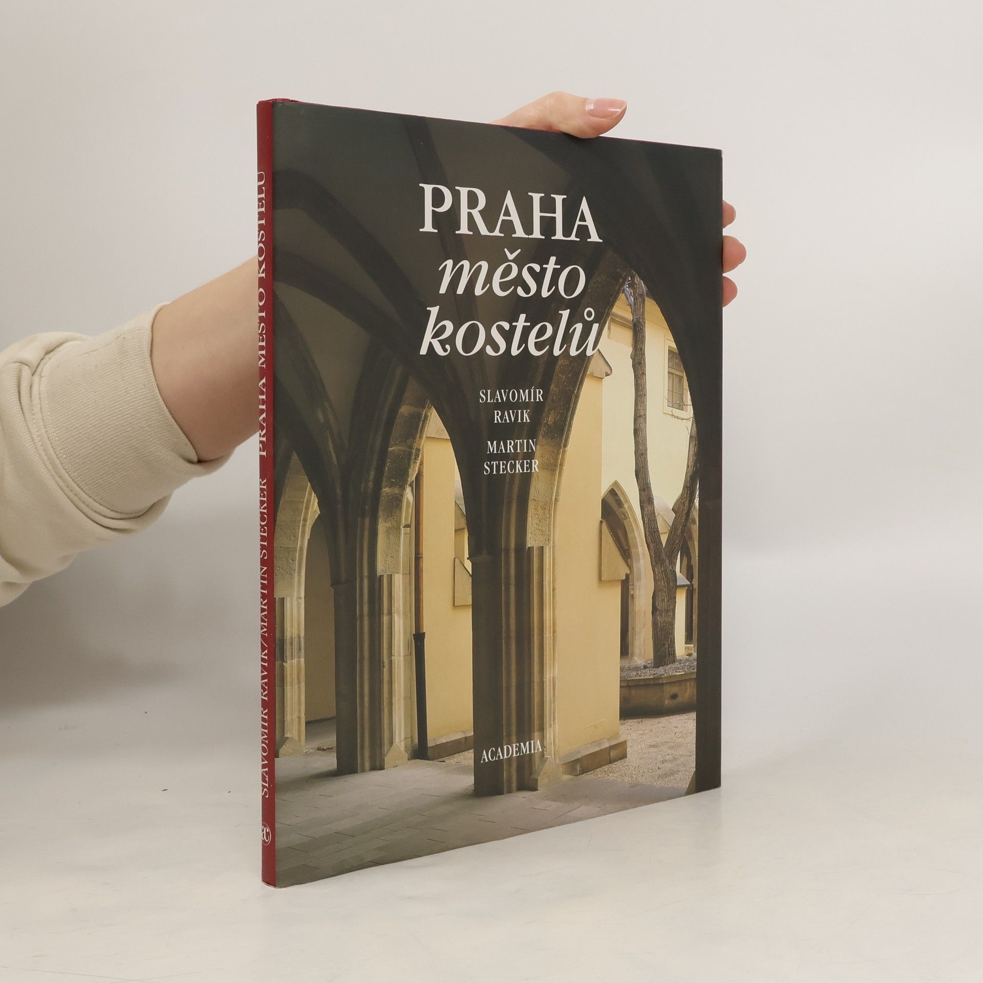 Slavomír Ravik Praha město kostelů