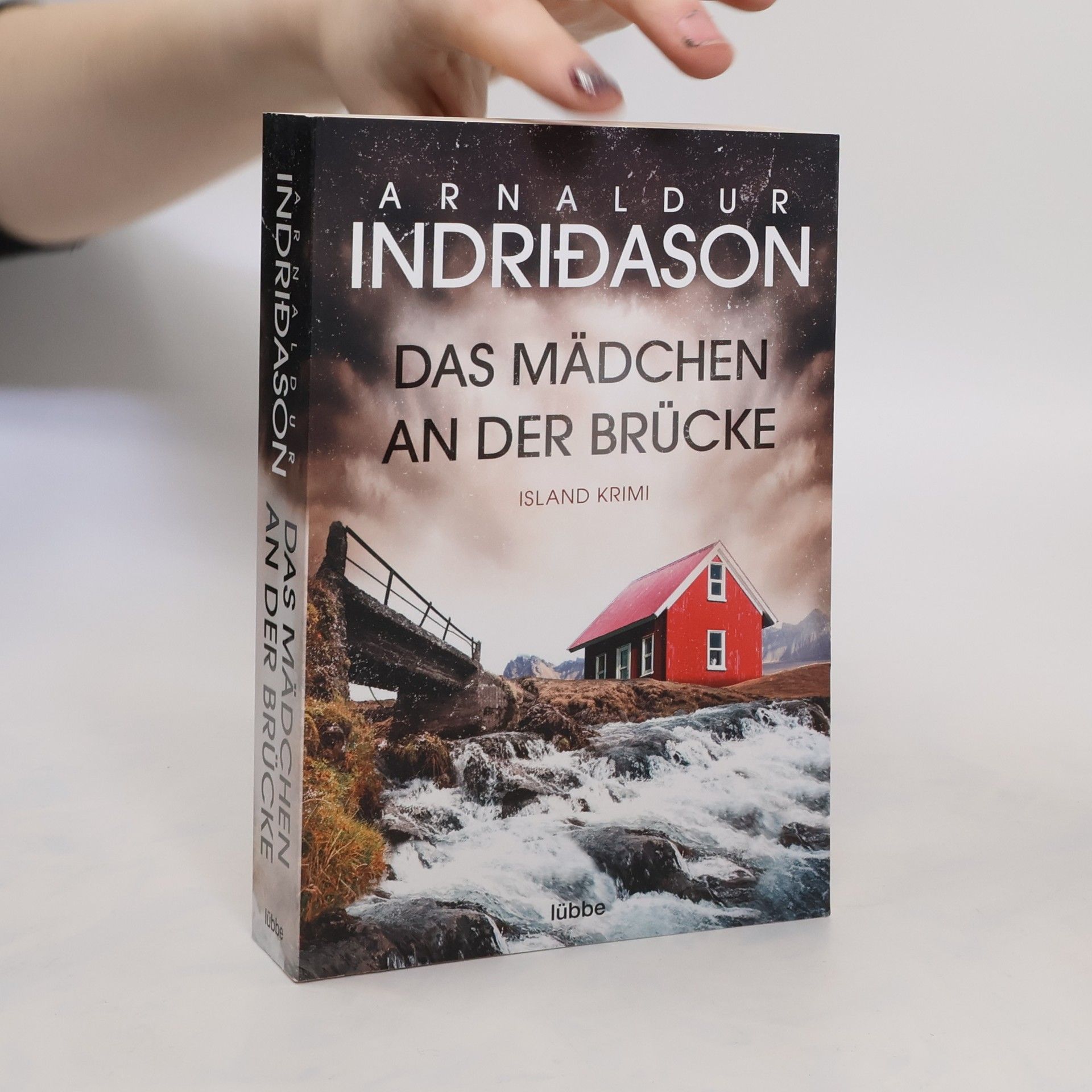 Arnaldur Indridason Das Mädchen an der Brücke