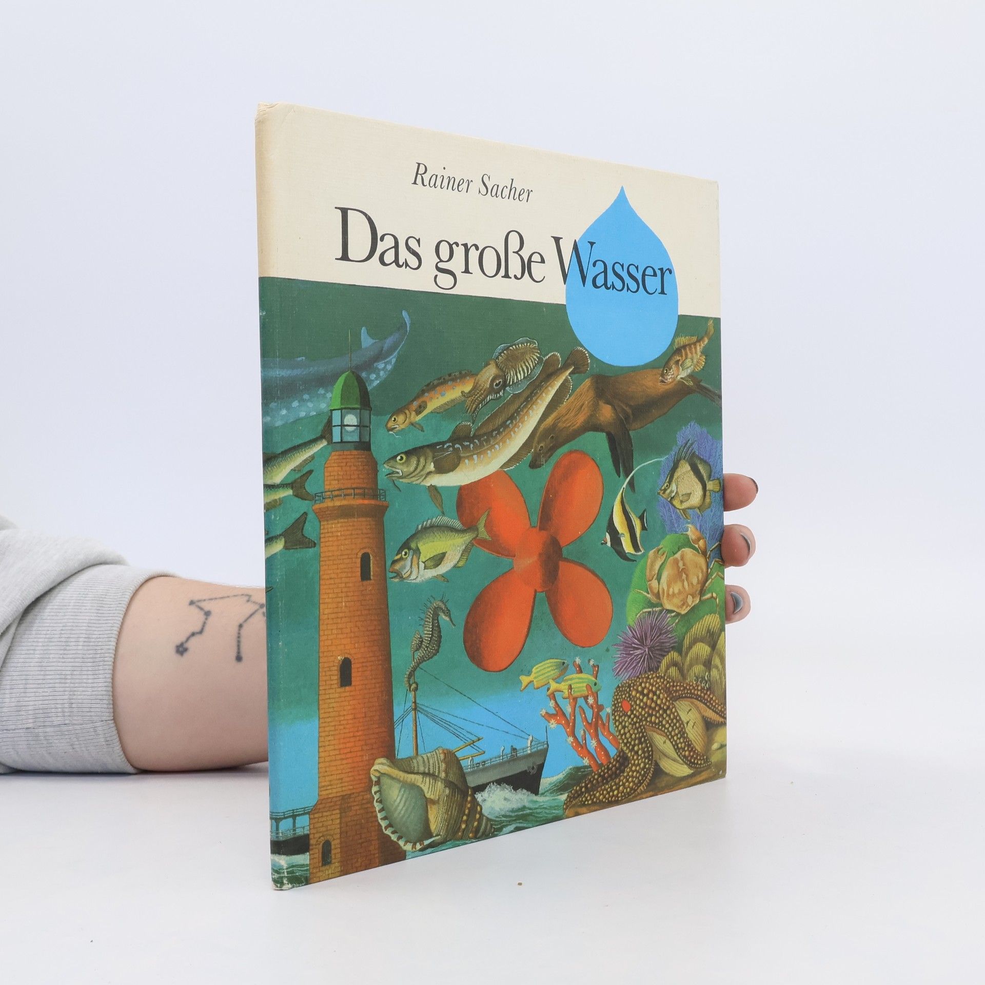 Rainer Sacher Das große Wasser