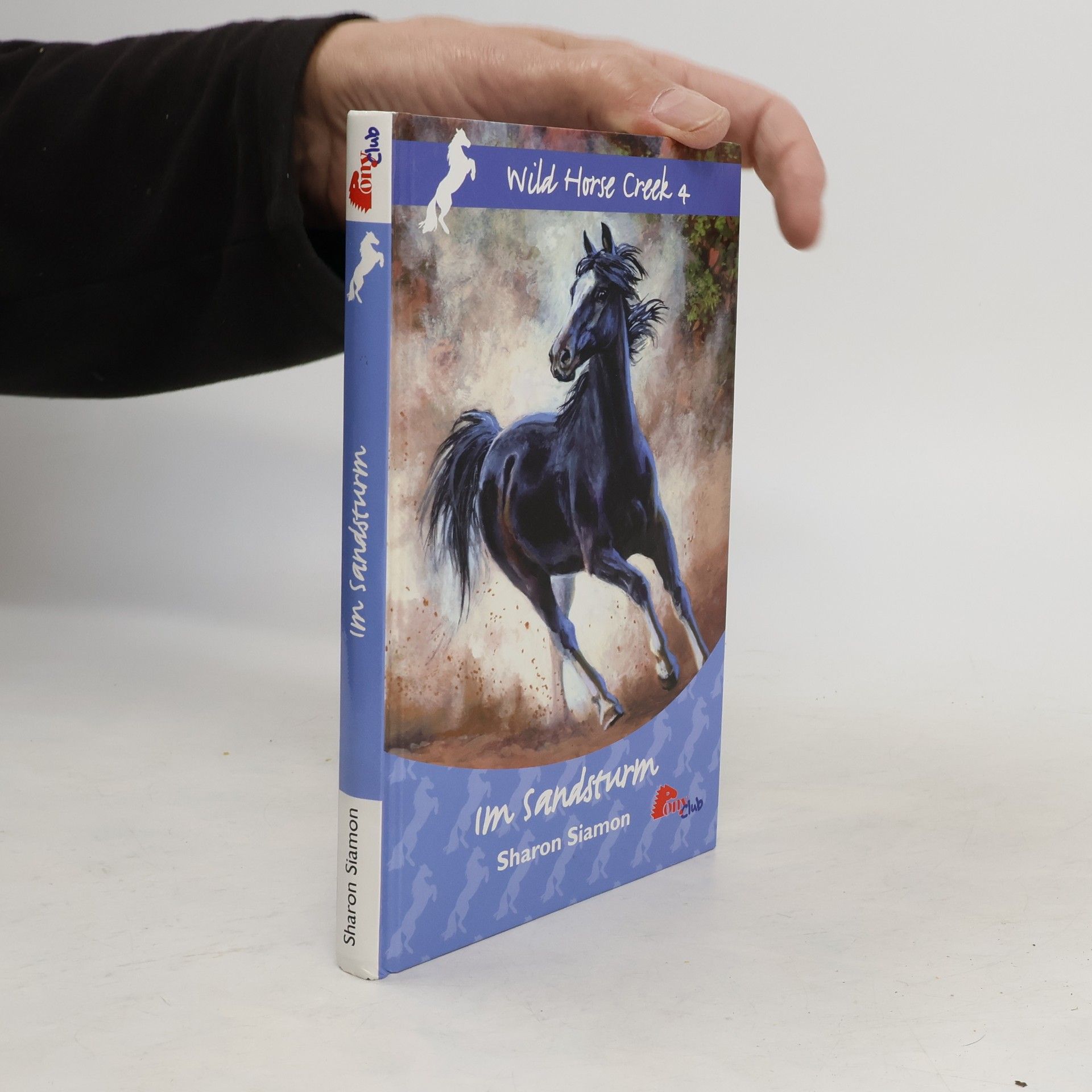 Sharon Siamon Wild horse creek 4. Im Sandsturm
