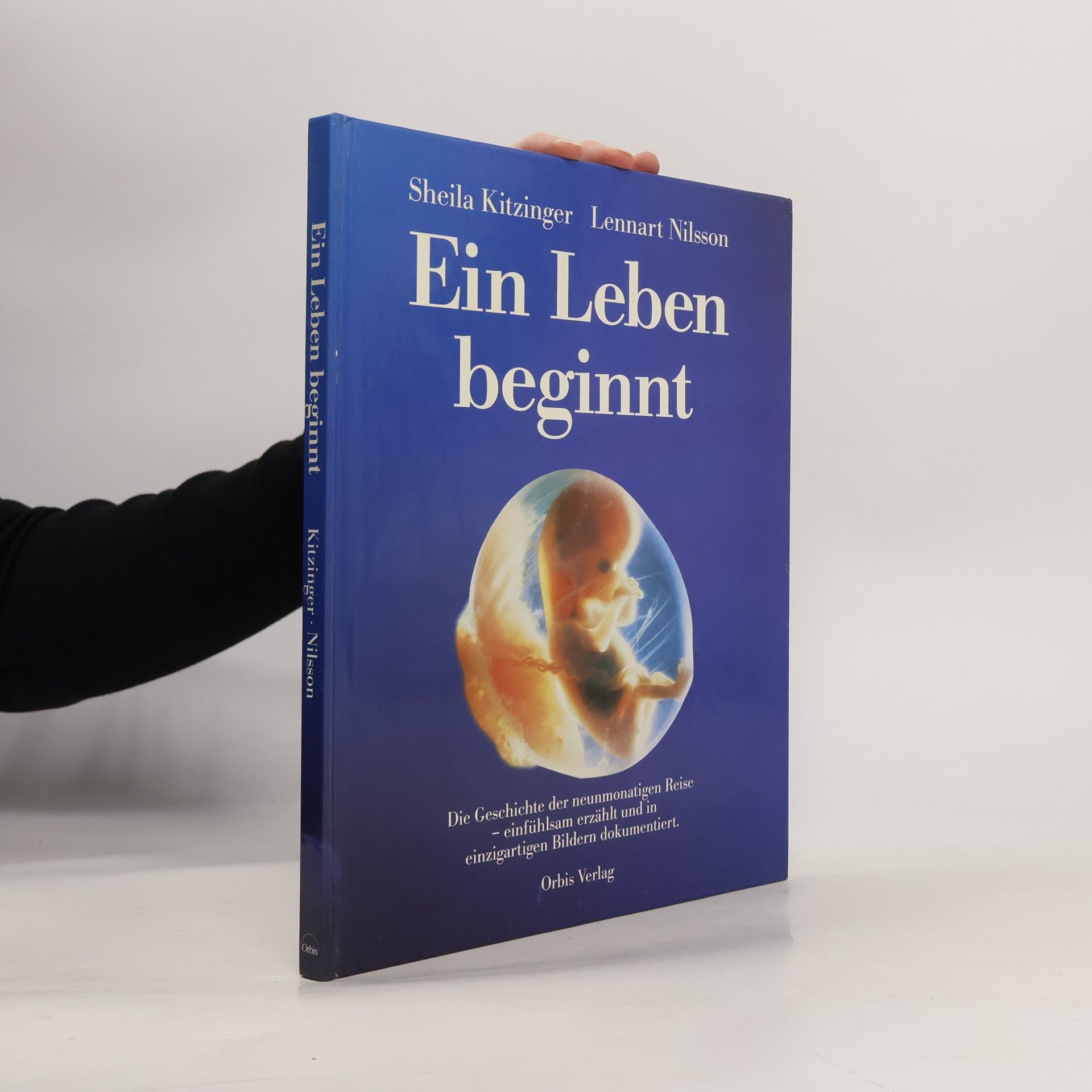 Sheila Kitzinger Ein Leben beginnt