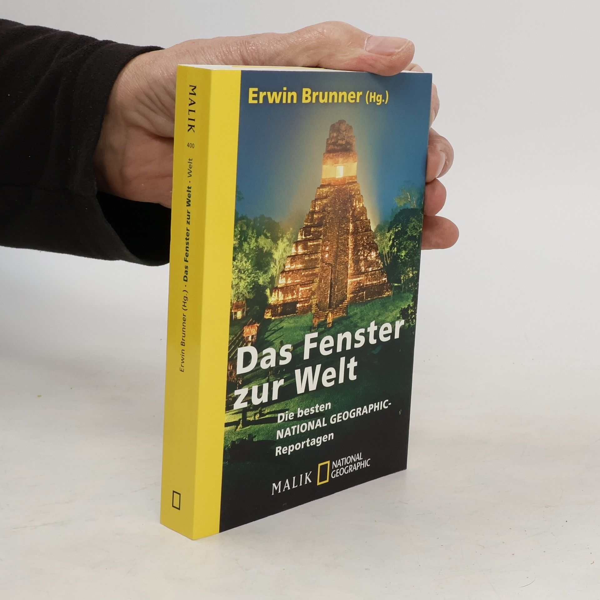 Erwin Brunner Das Fenster zur Welt