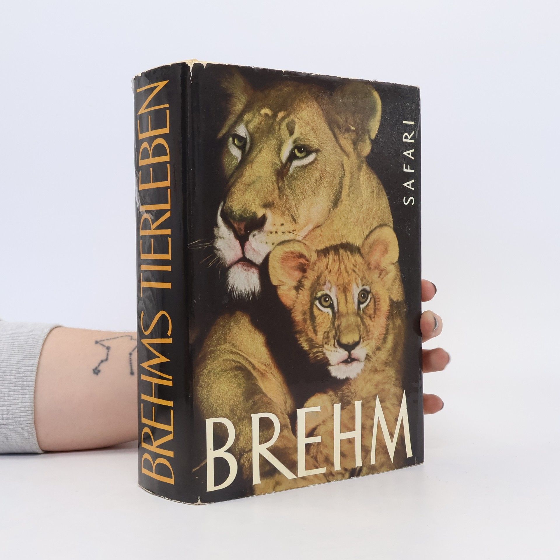 kolektiv Brehms Tierleben