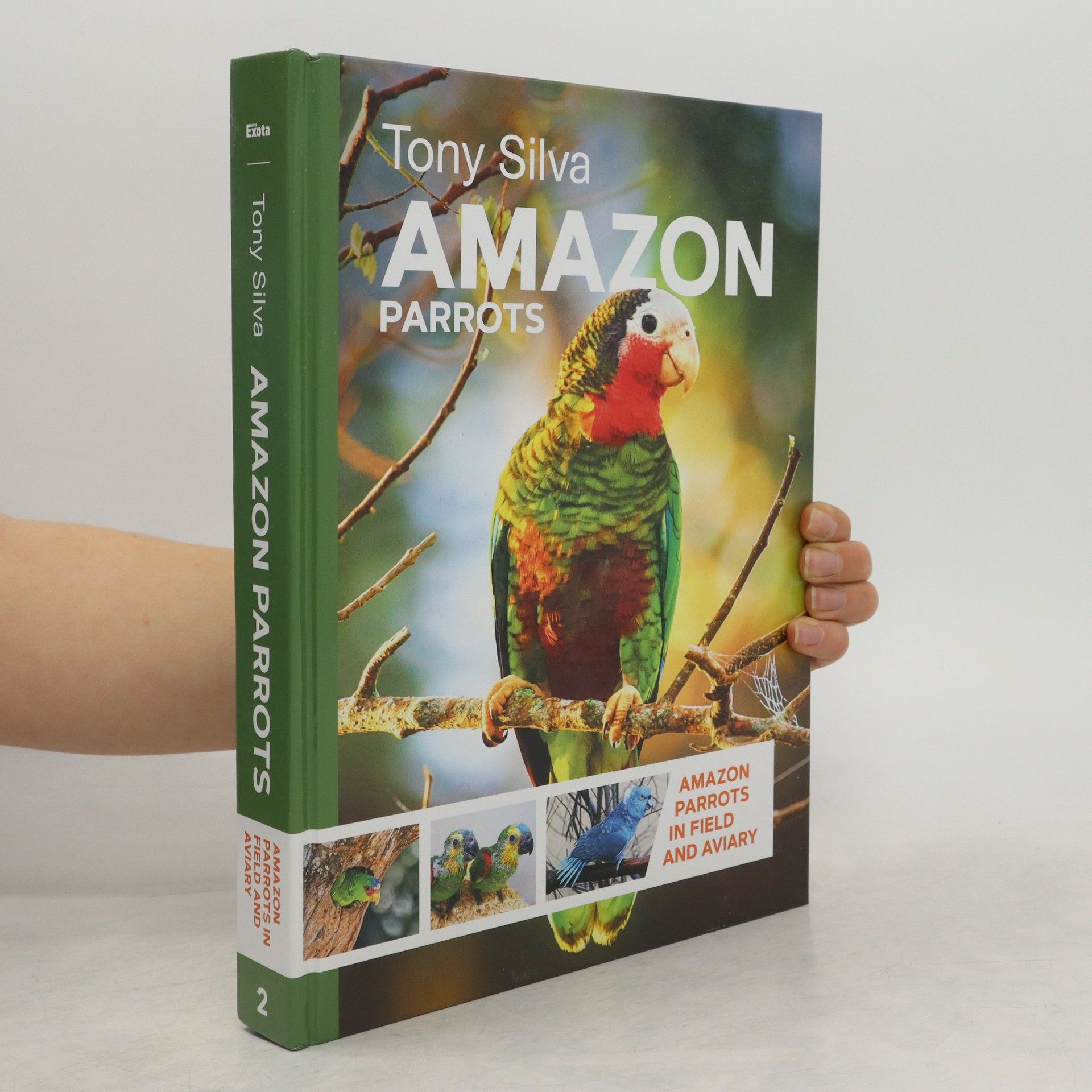 Tony Silva Amazon Parrots 2
