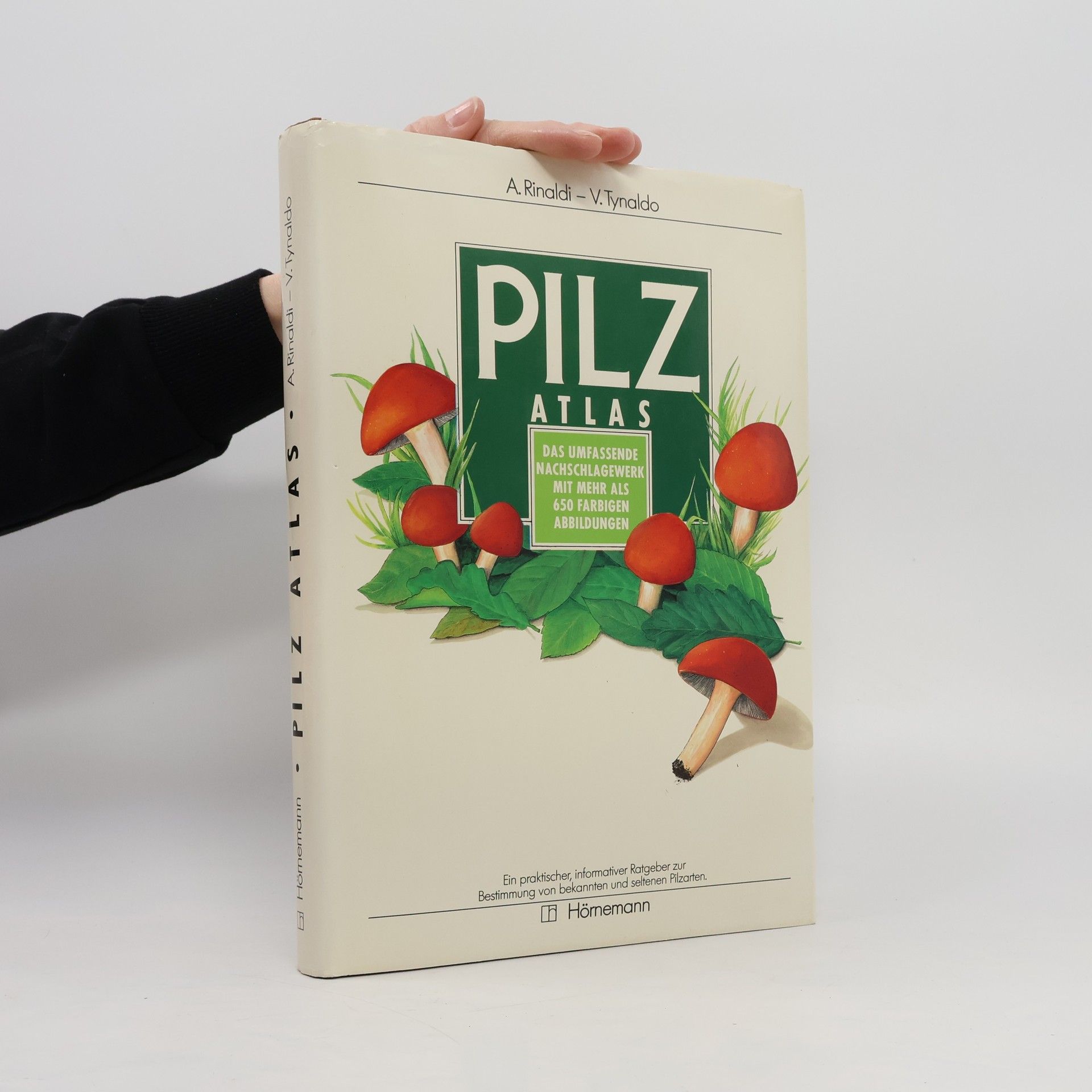 Augusto Rinaldi Pilz-Atlas