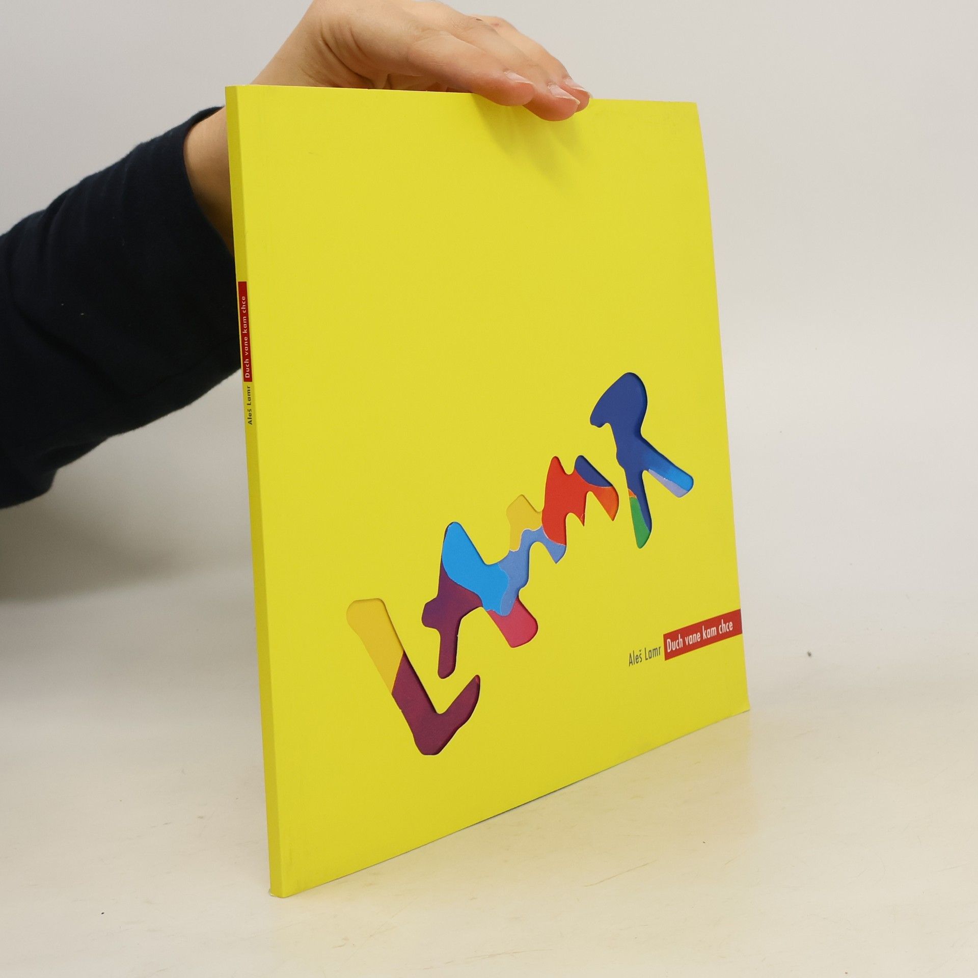 AA.VV. Aleš Lamr: Duch vane kam chce