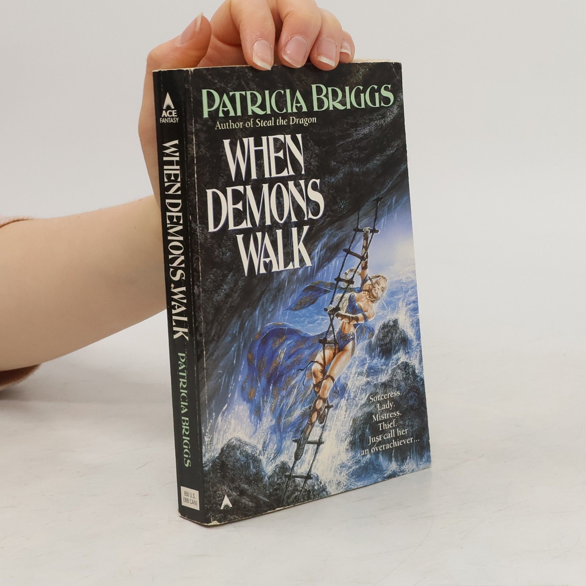 Patricia Briggs When Demons Walk