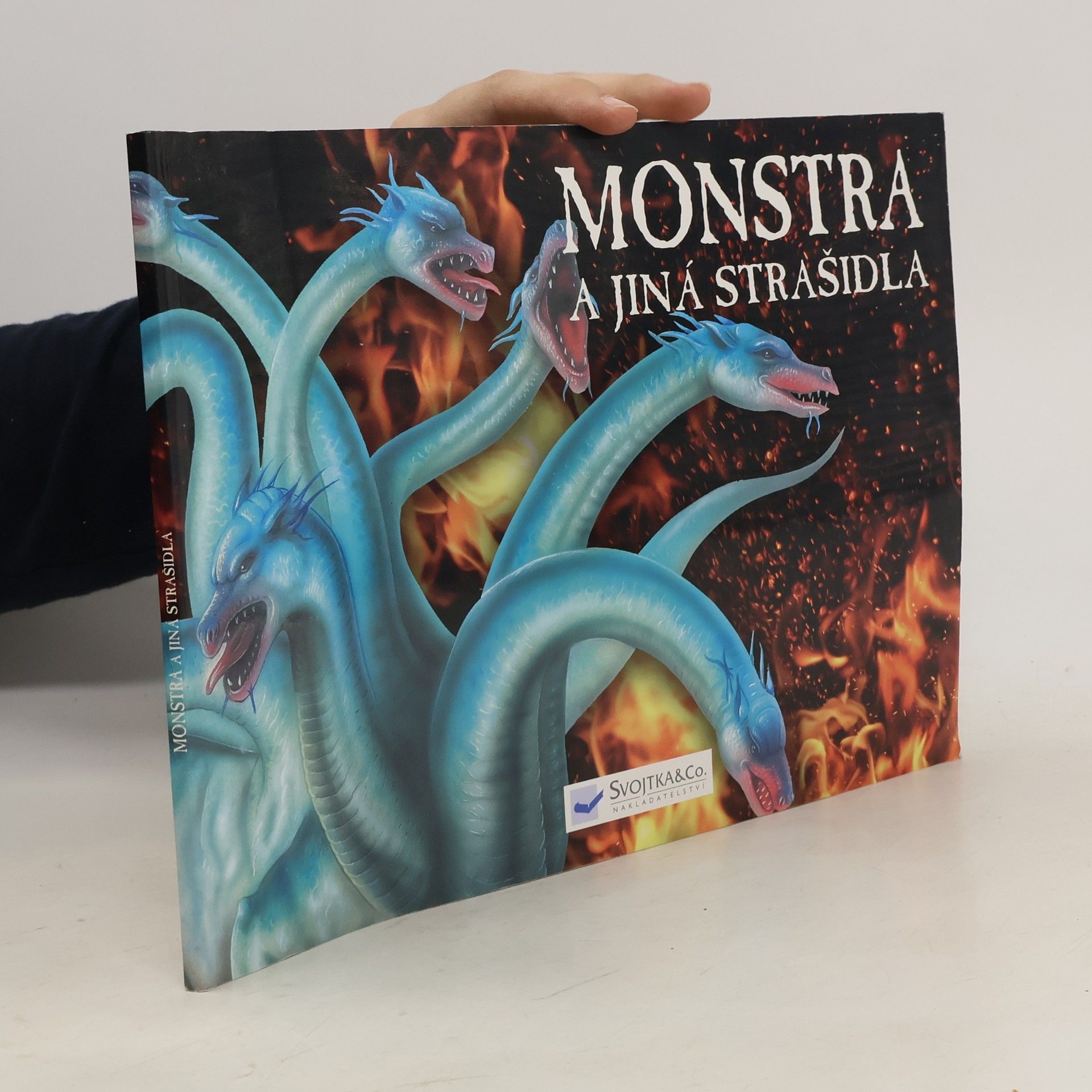 Gerrie McCall Monstra a jiná strašidla