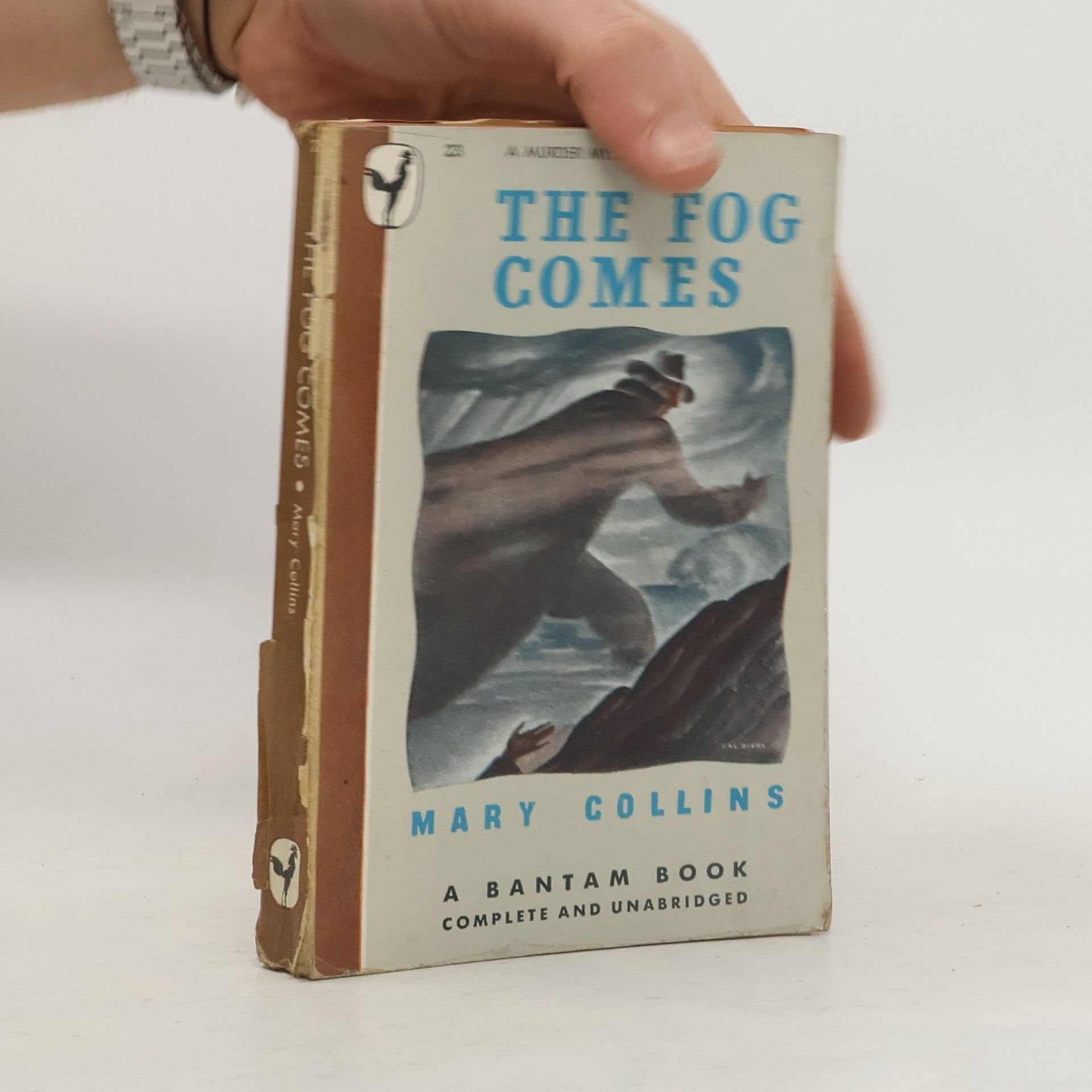 Mary Collins The Fog Comes