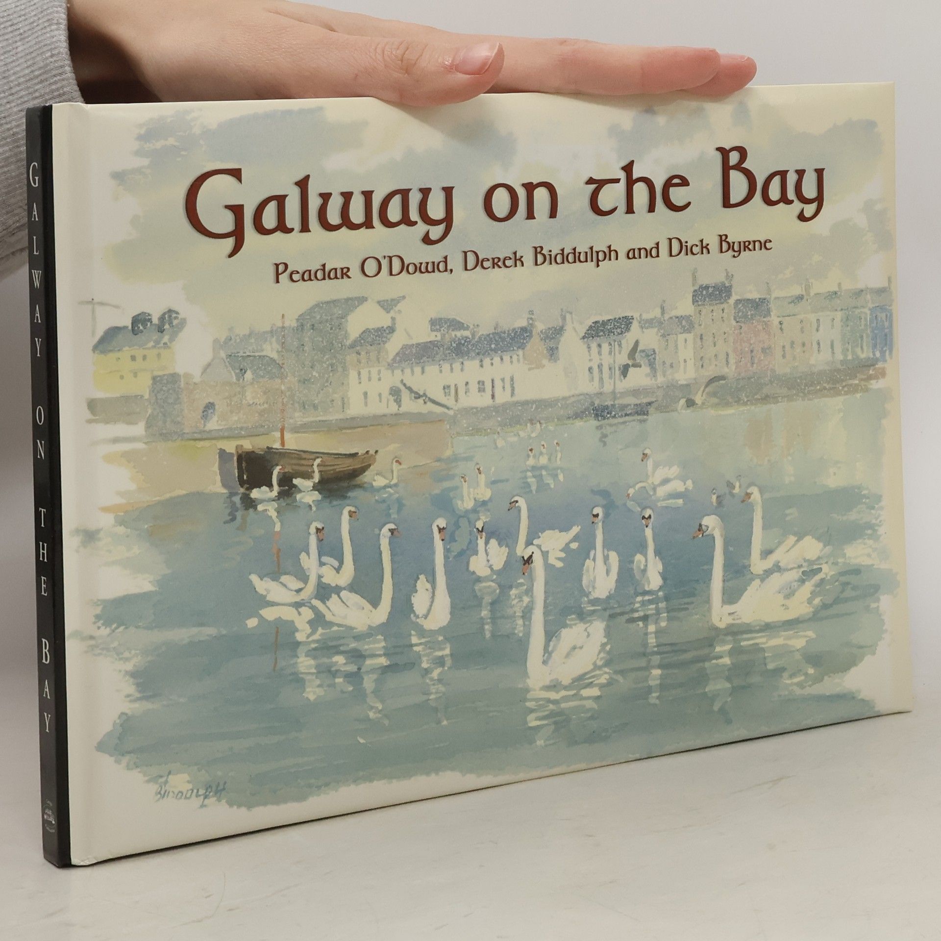 Auteurscollectief Galway on the Bay