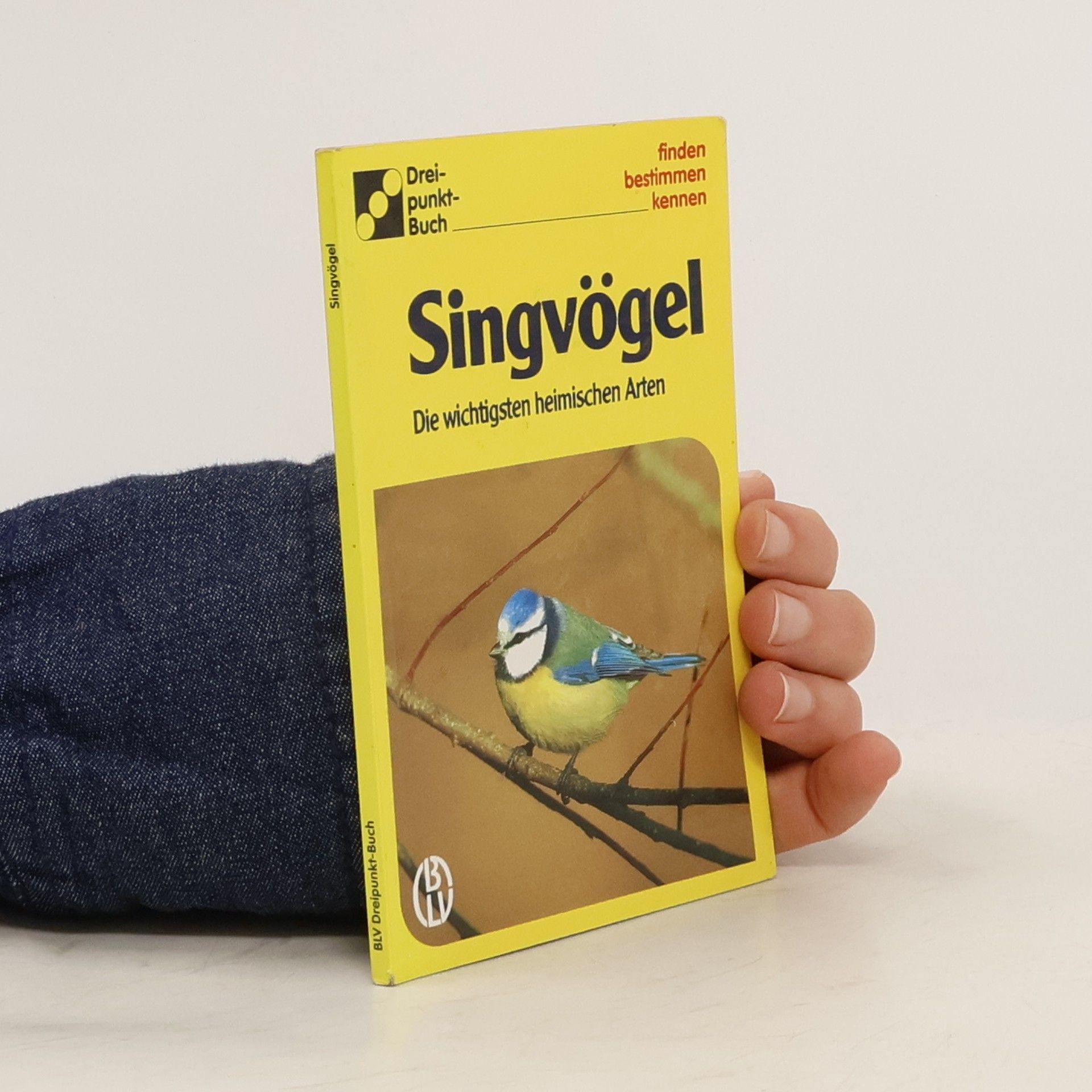 Autorenkollektiv Singvögel