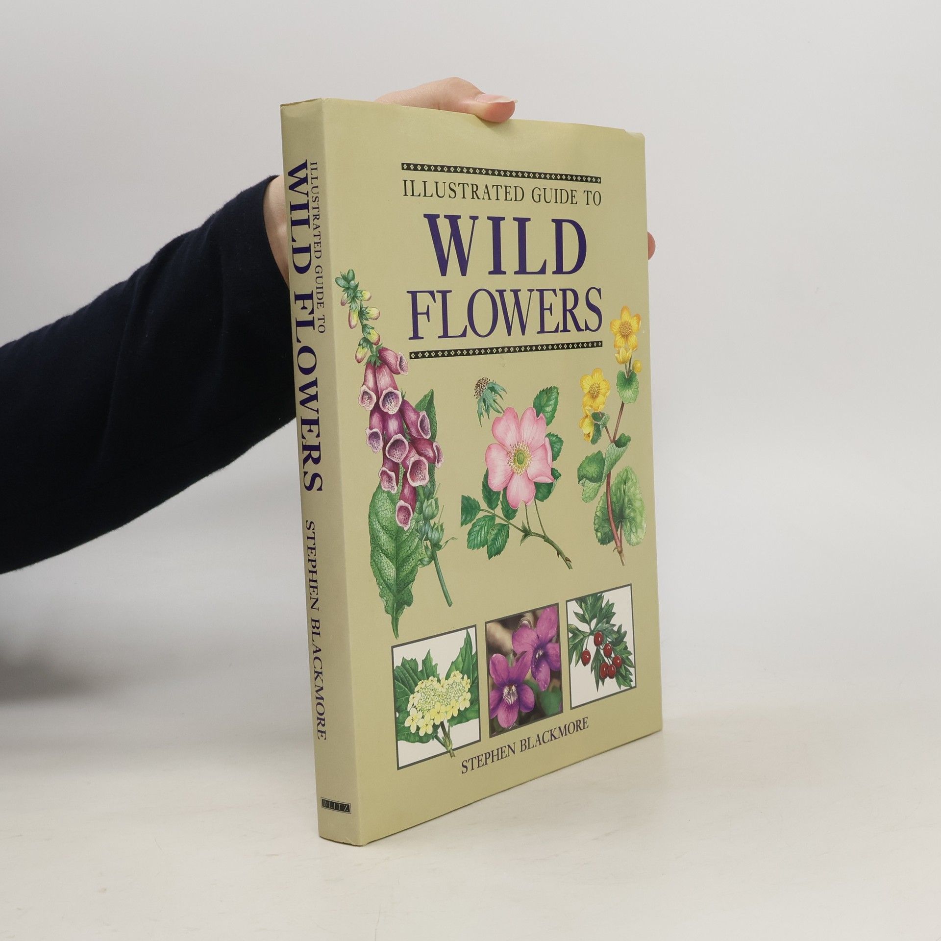 Stephen Blackmore Illustrated Guide to Wild Flowers