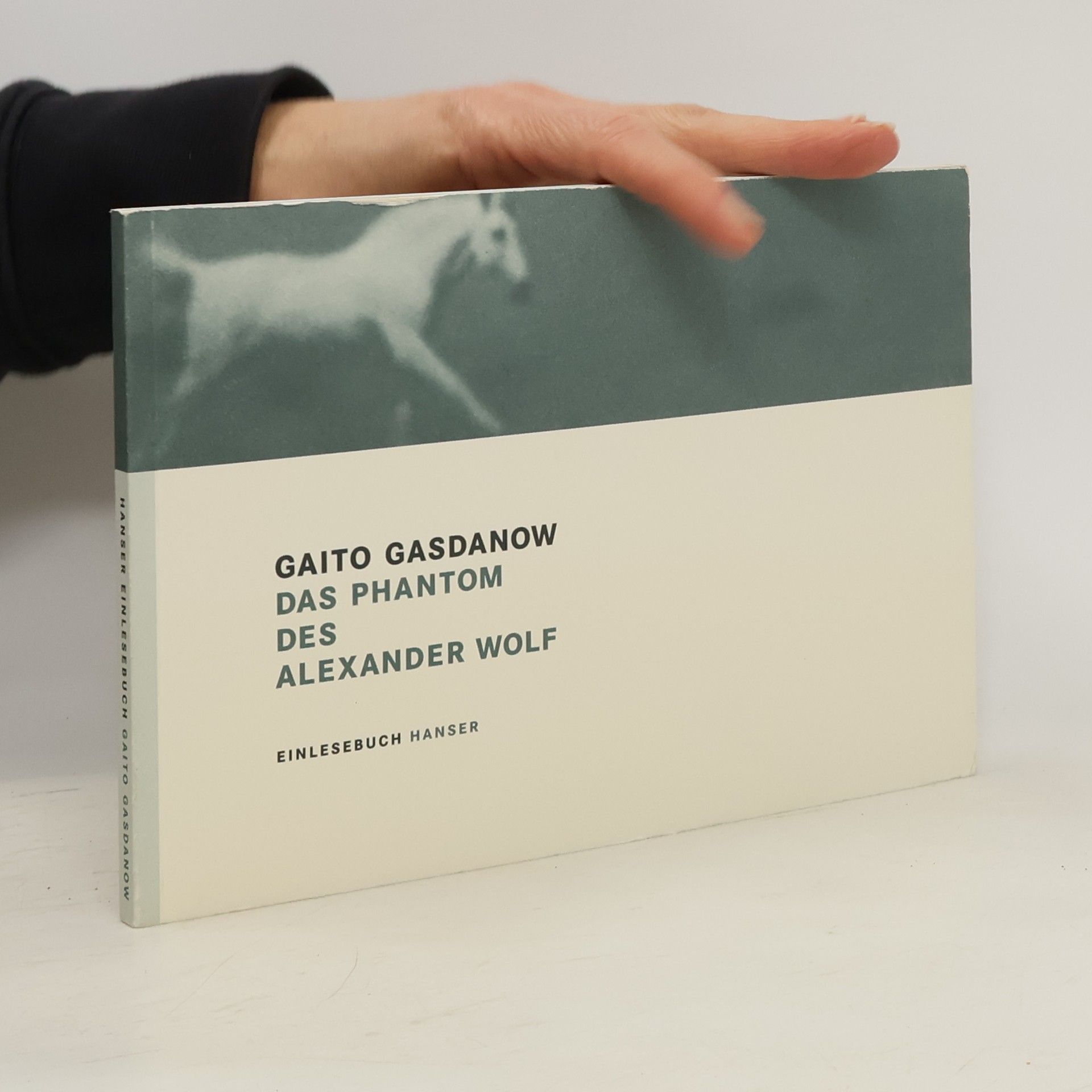 Georgij Ivanovič Gazdanov Das Phantom des Alexander Wolf