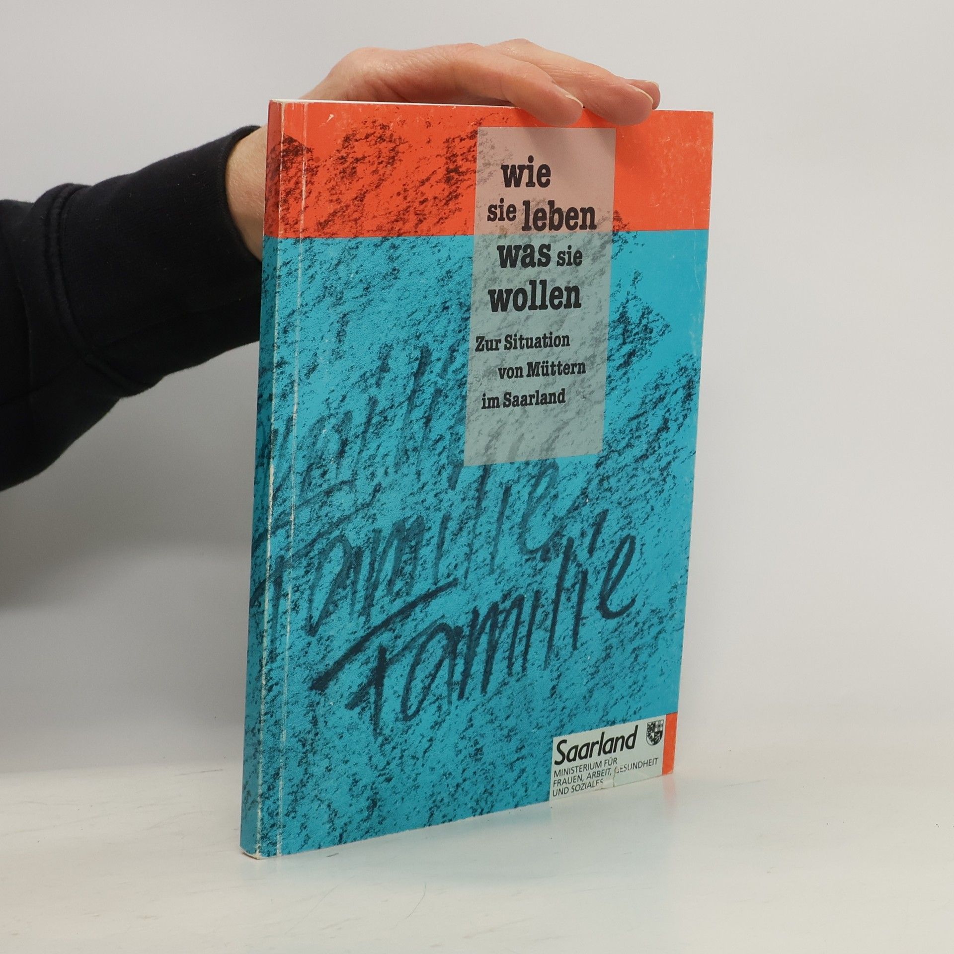 Autorenkollektiv Wie sie leben was sie wollen. Zur Situation von Müttern im Saarland