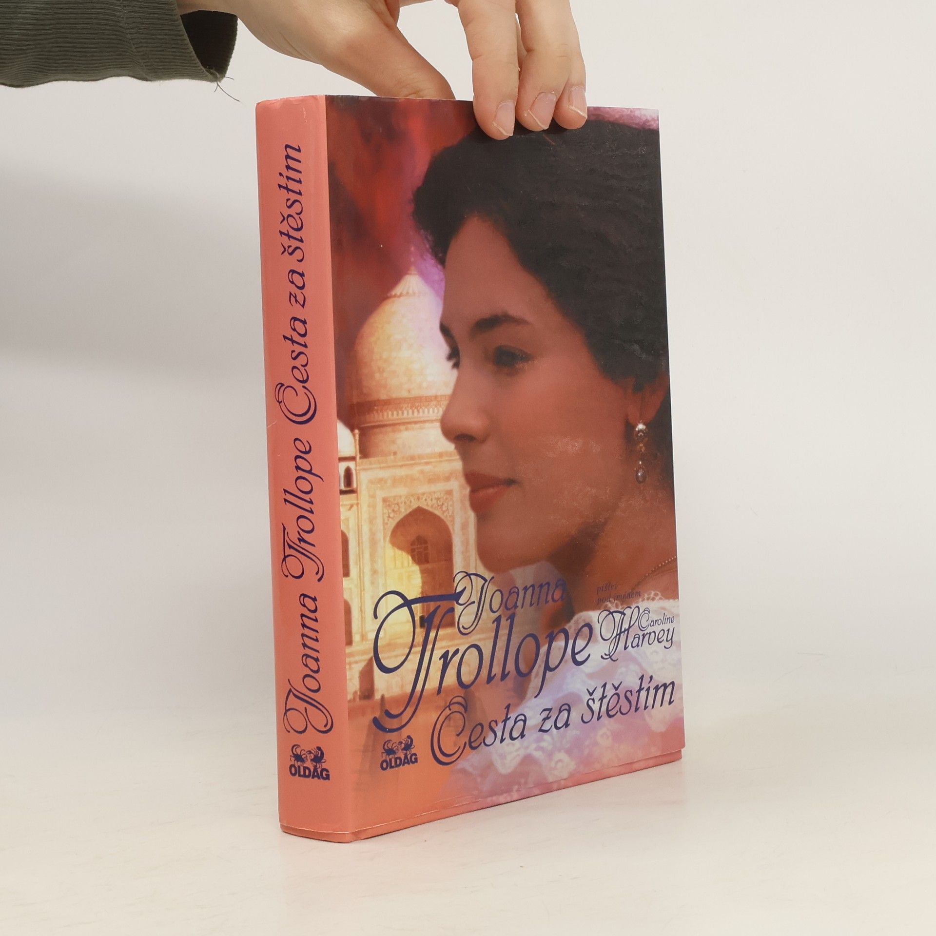 Joanna Trollope Cesta za štěstím