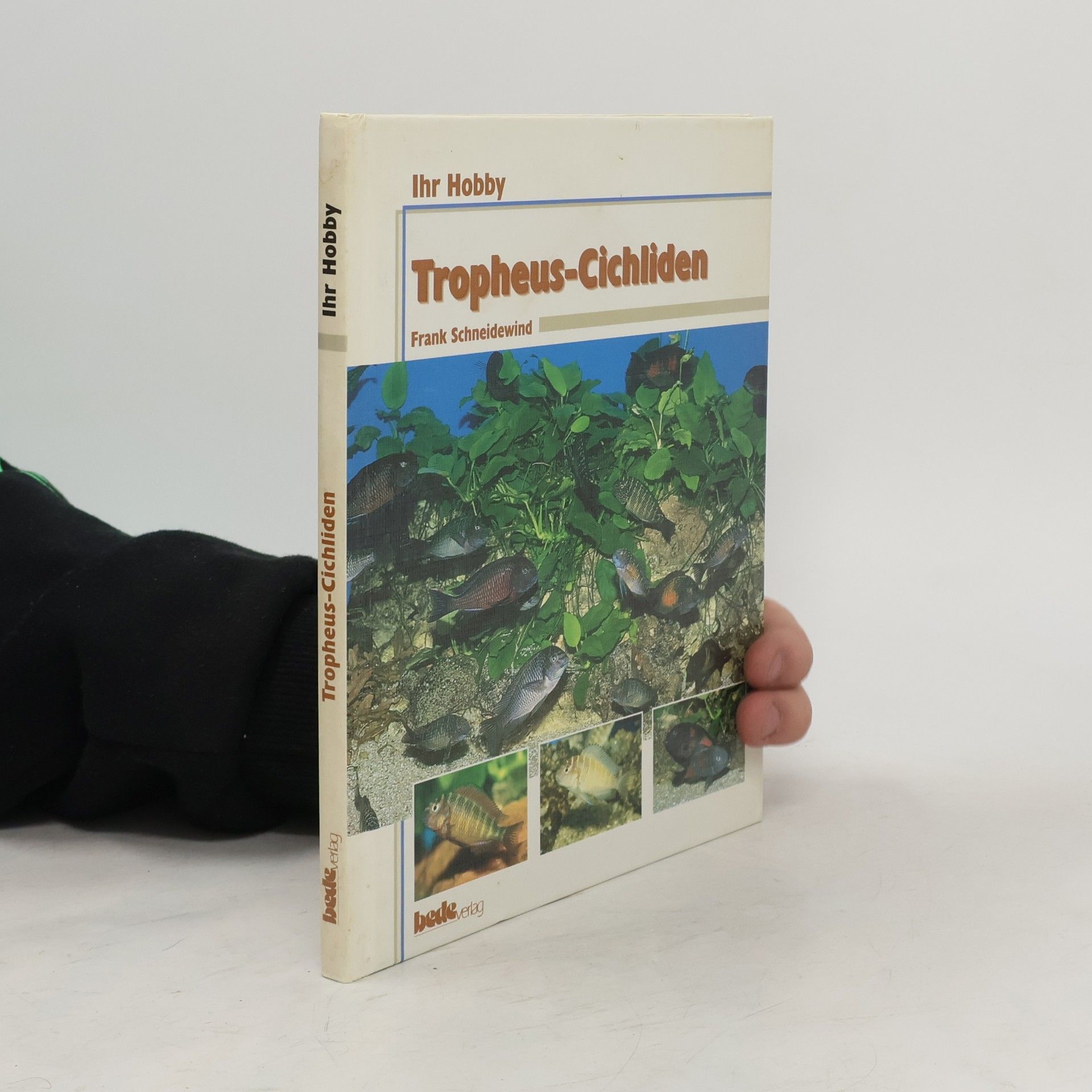Frank Schneidewind Tropheus-Cichliden