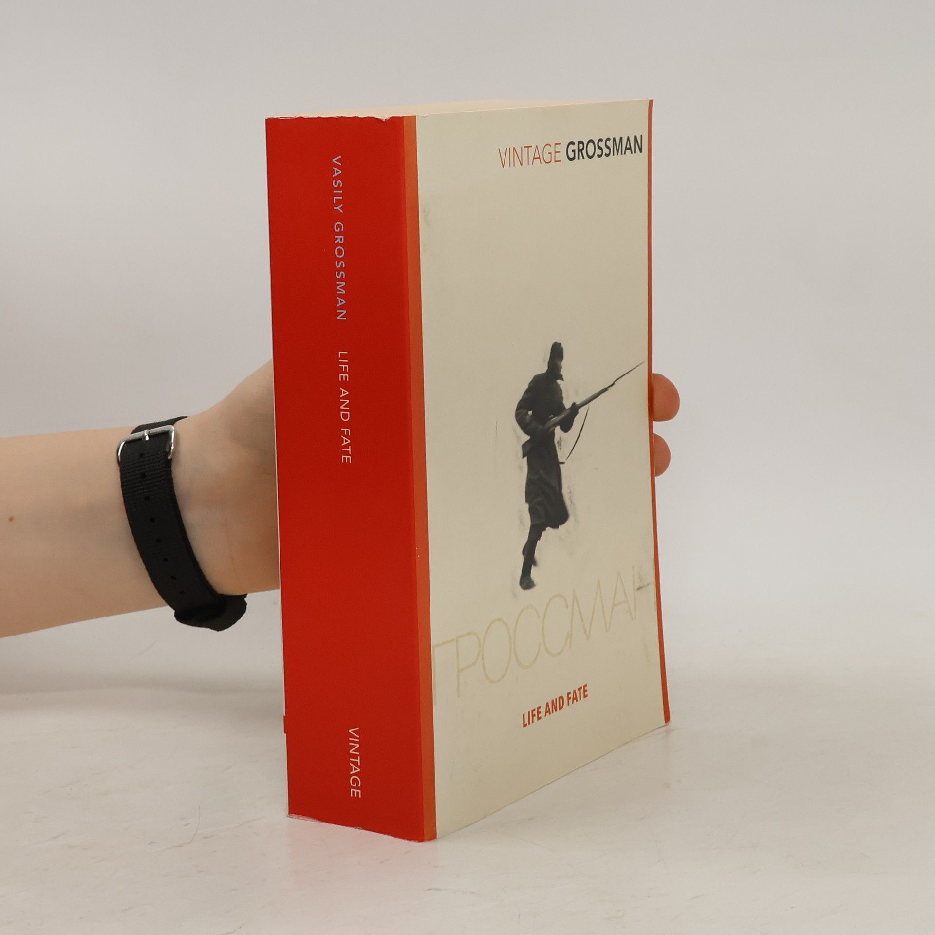 Vasilii Grossman Life and fate