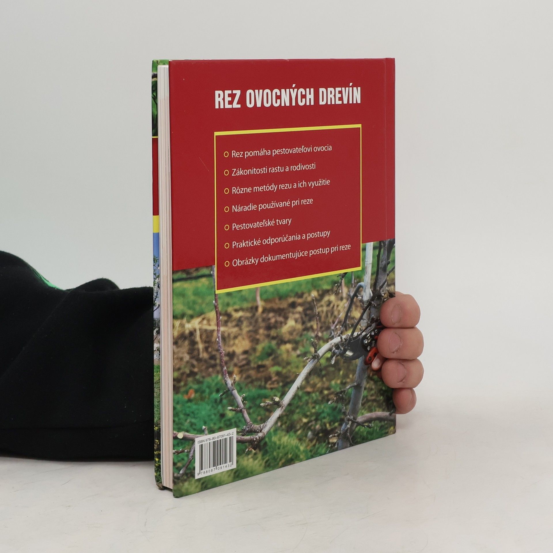 Autorenkollektiv Rez ovocných drevín