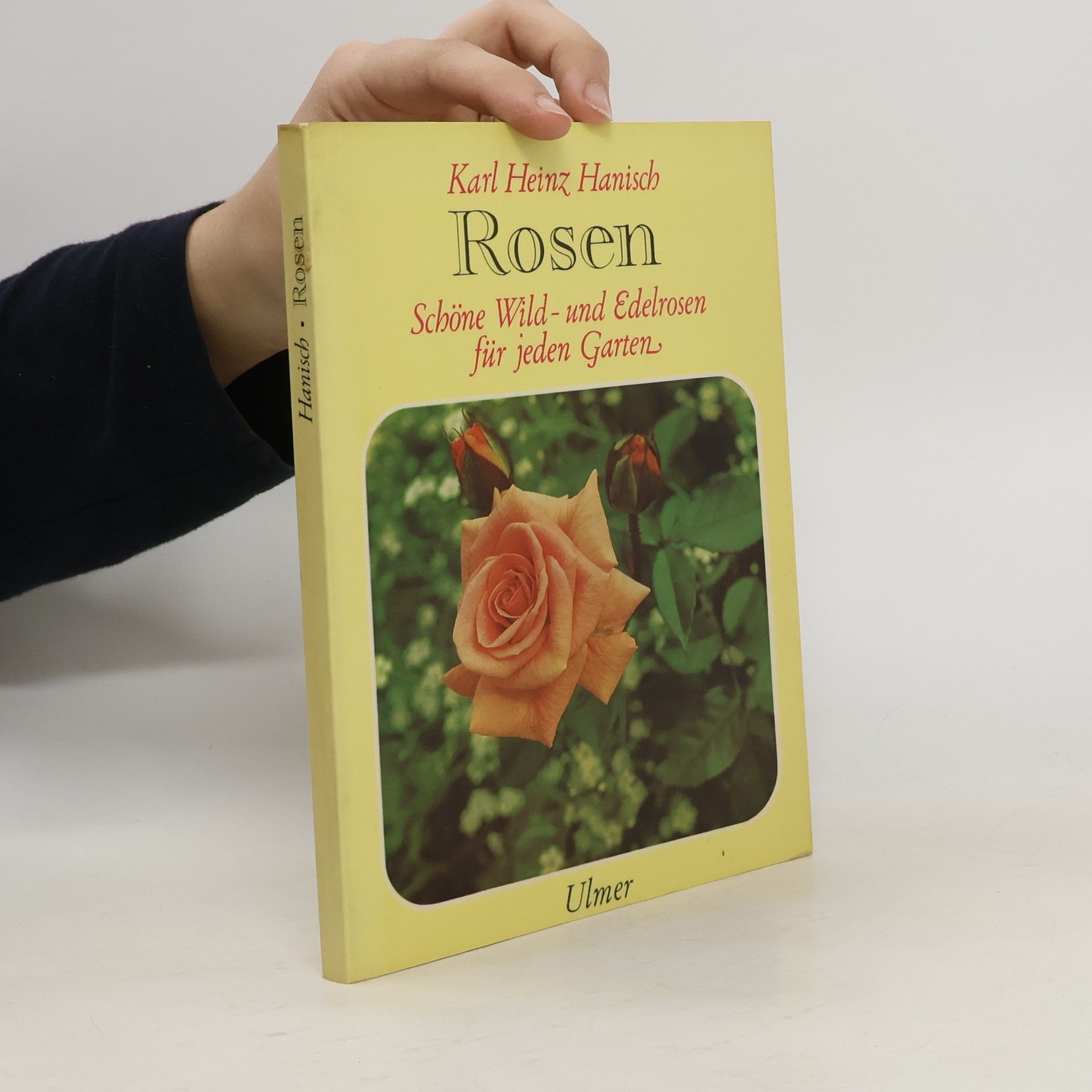 Karl Heinz Hanisch Rosen