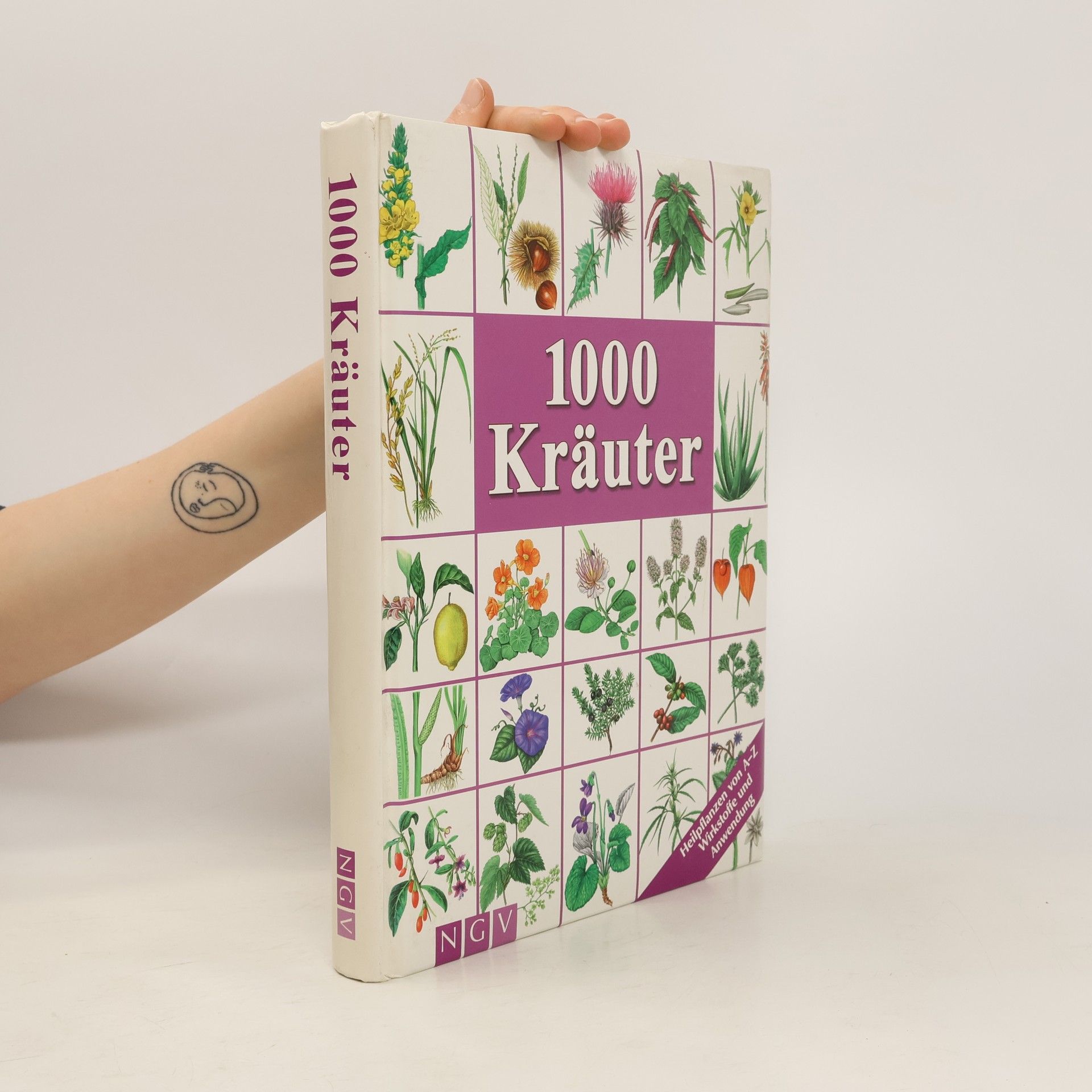 Hans W. Kothe 1000 Kräuter