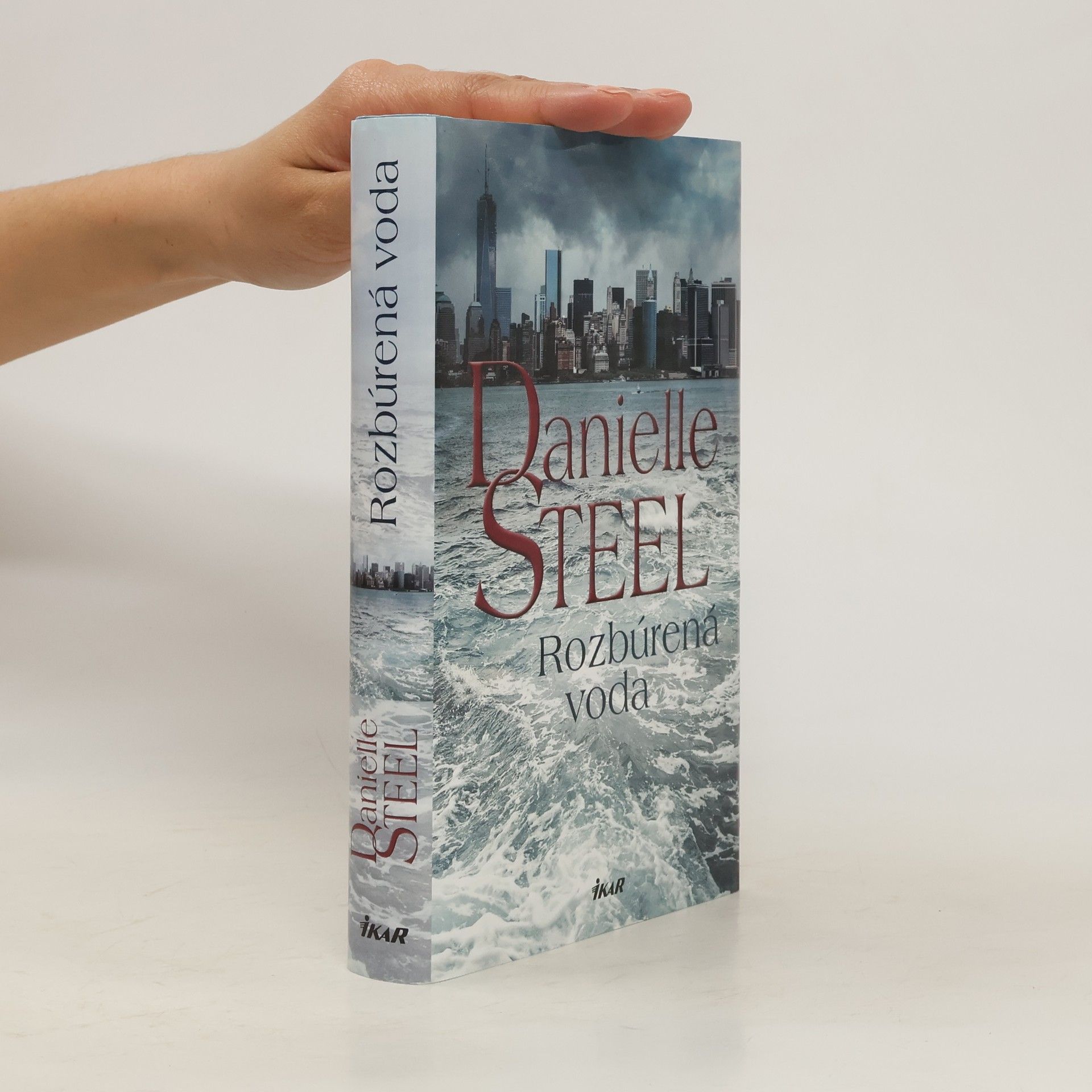 Danielle Steel Rozbúrená voda