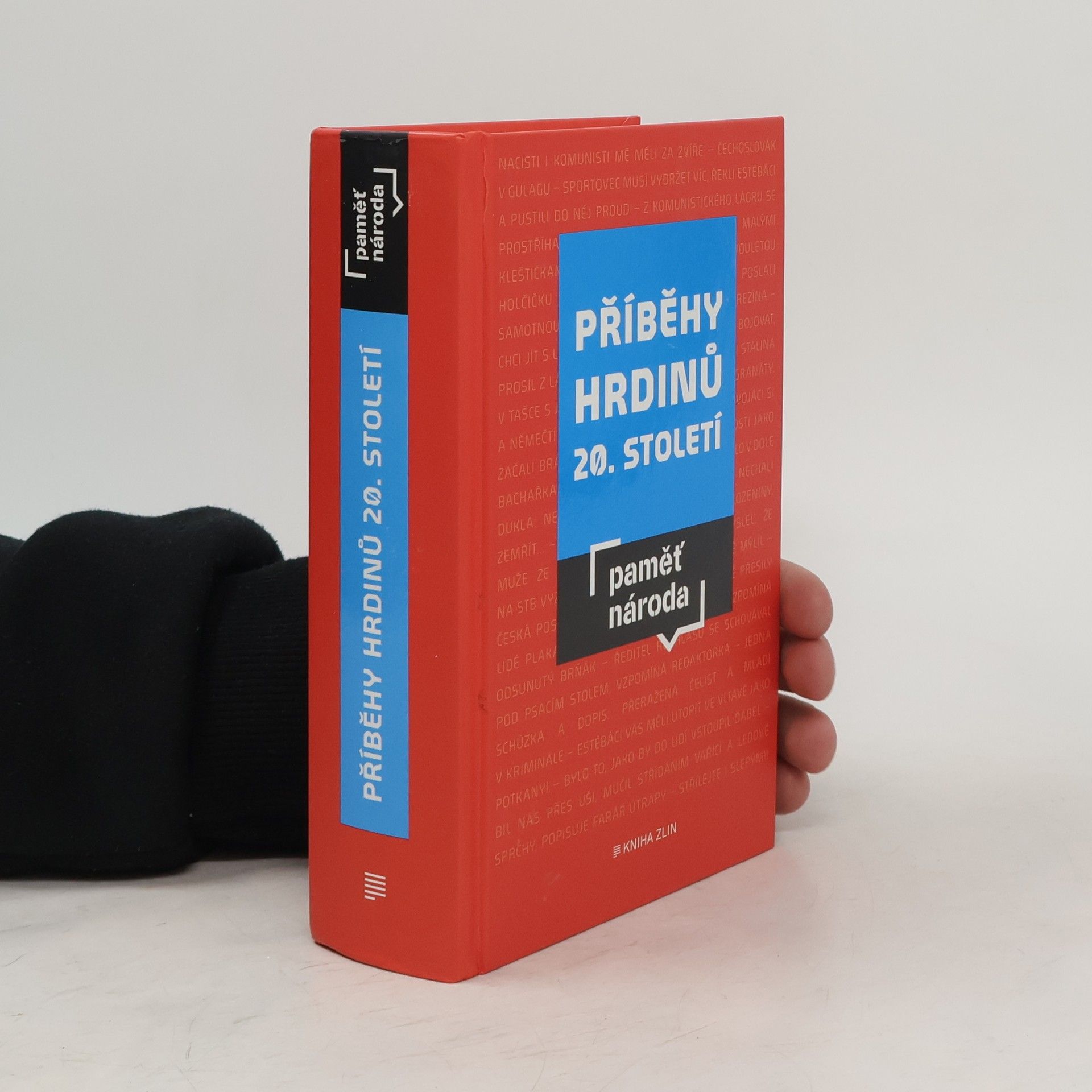 Autorenkollektiv Příběhy hrdinů 20. století : paměť národa