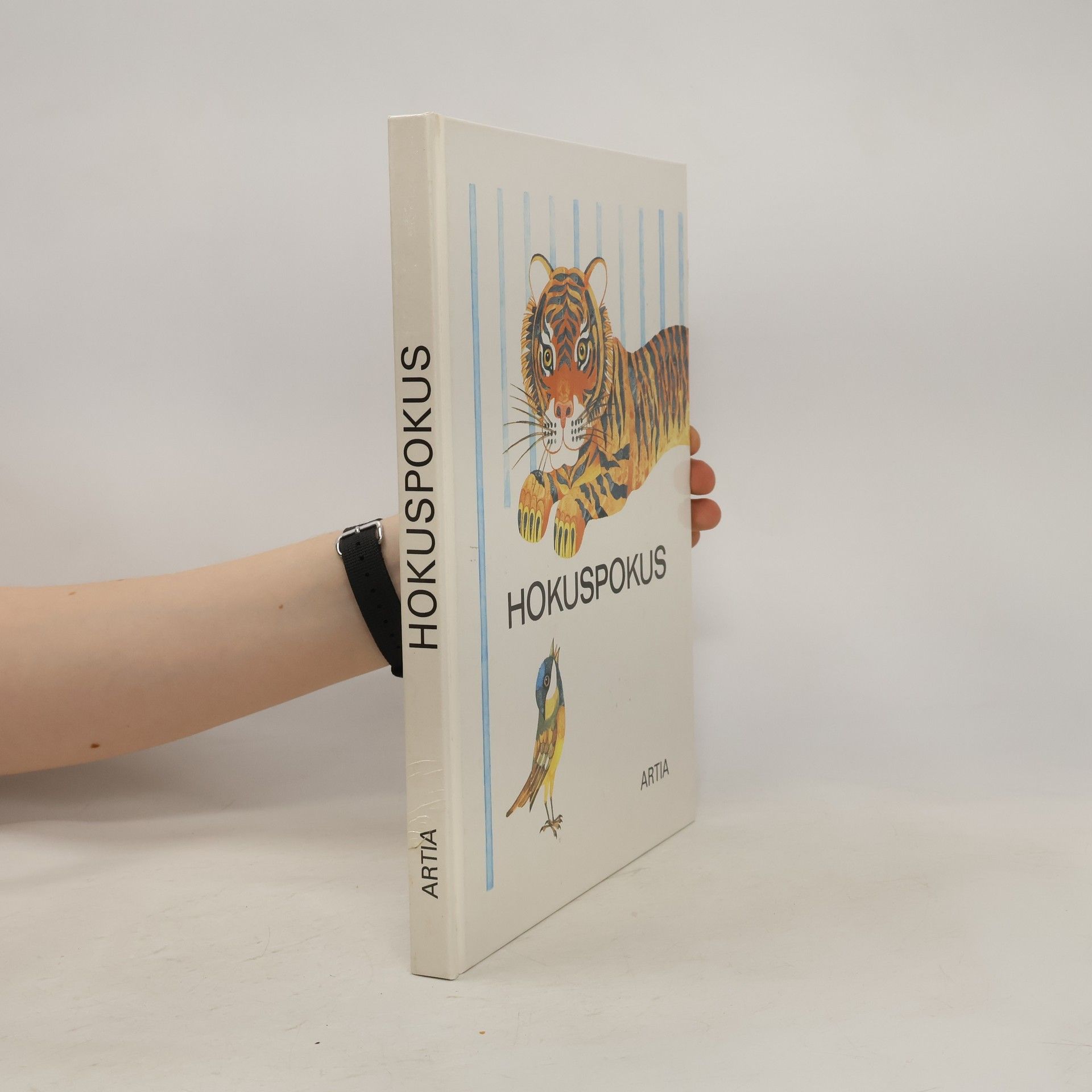 Autorenkollektiv Hokuspokus