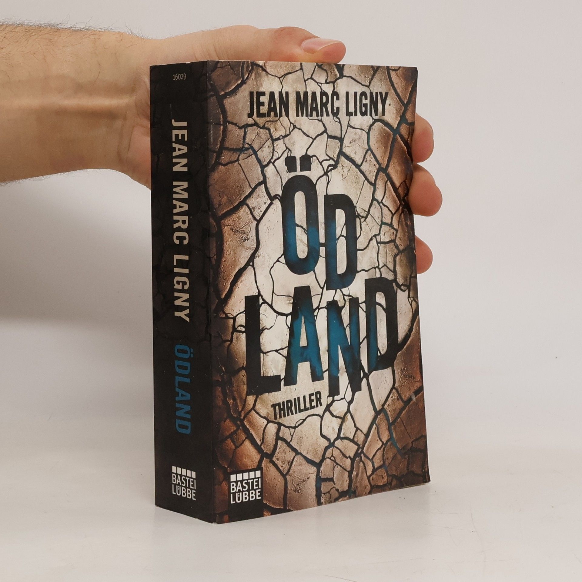 Jean-Marc Ligny Ödland