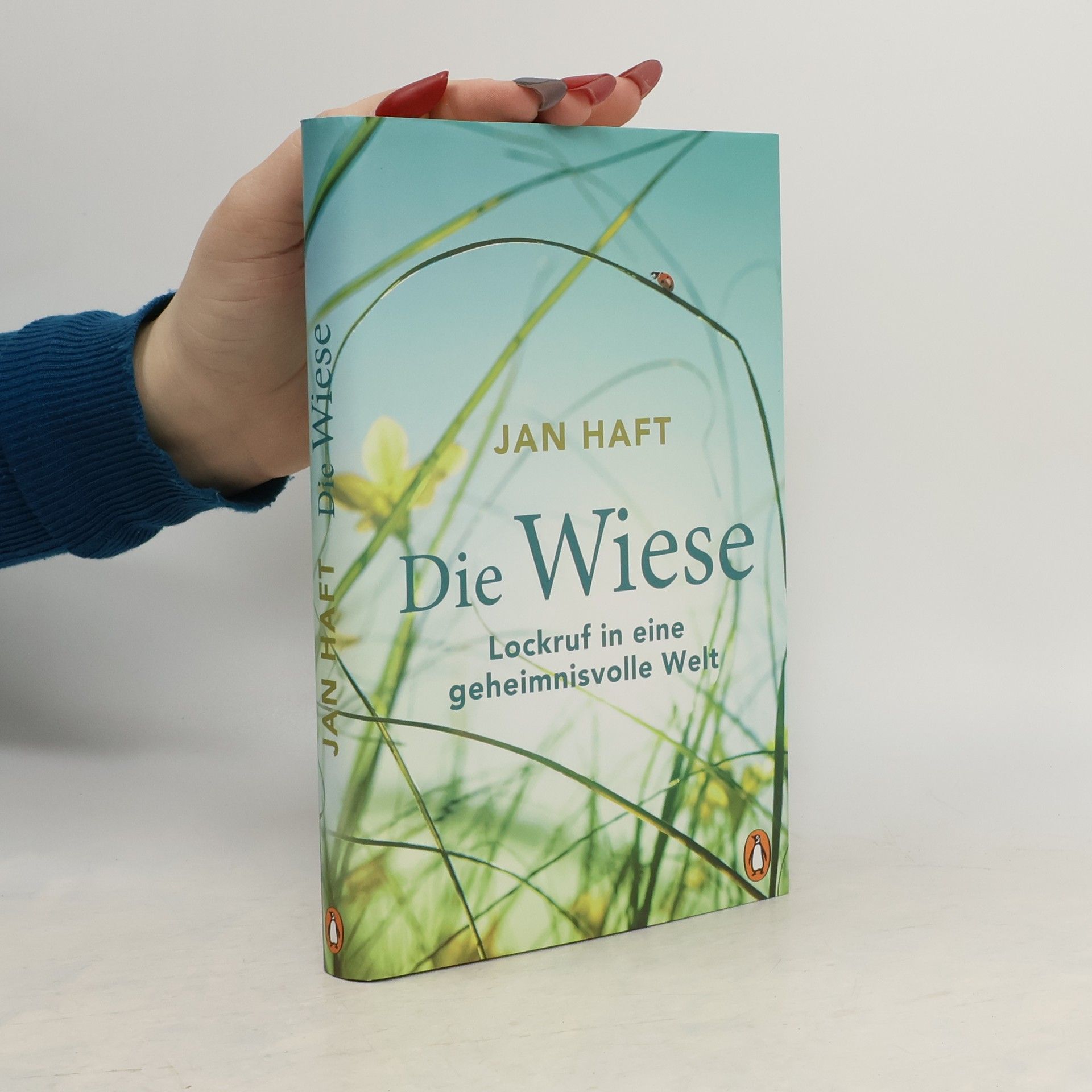 Jan Haft Die Wiese