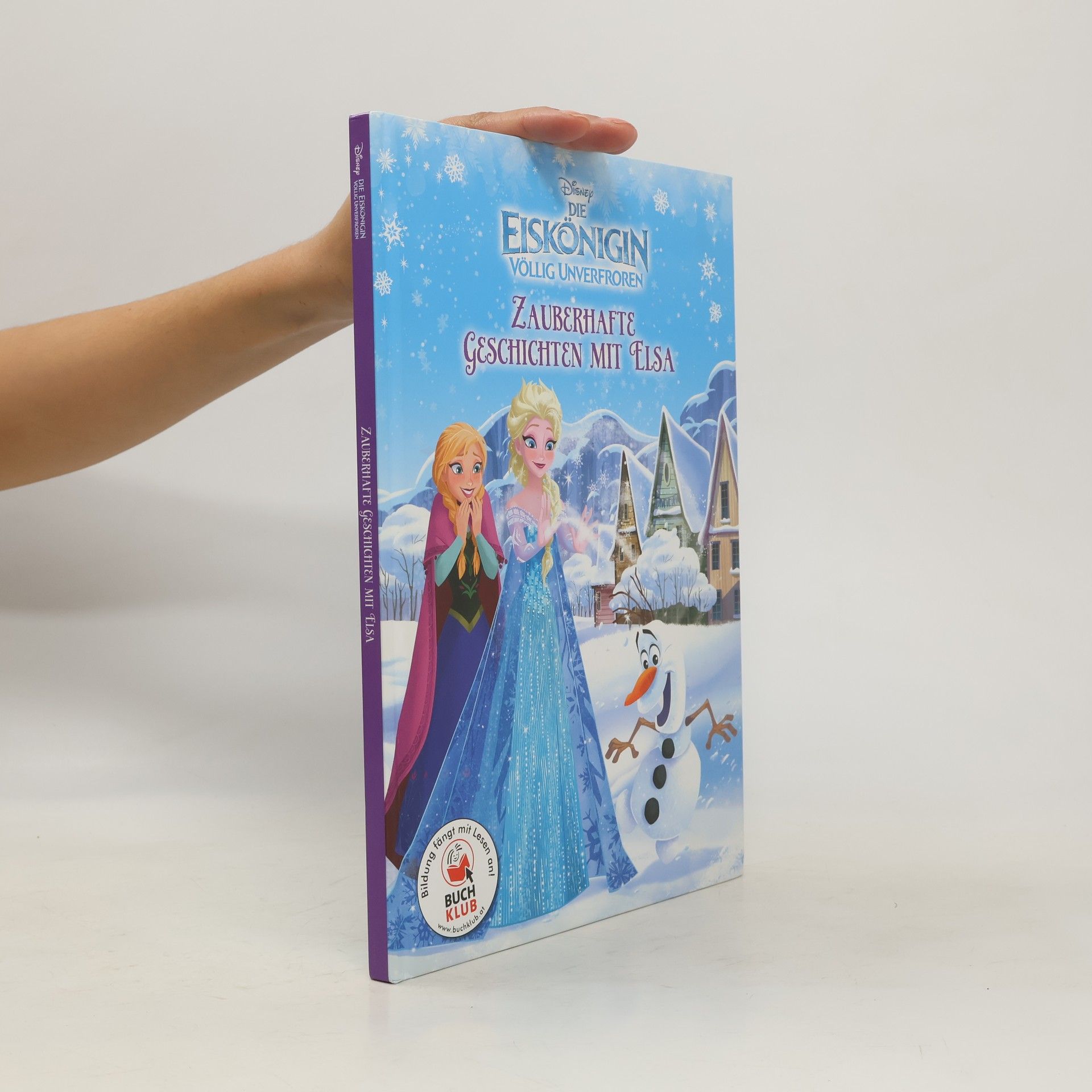 Autorenkollektiv Eiskönigin. Zauberhafte Geschichte mit Elsa