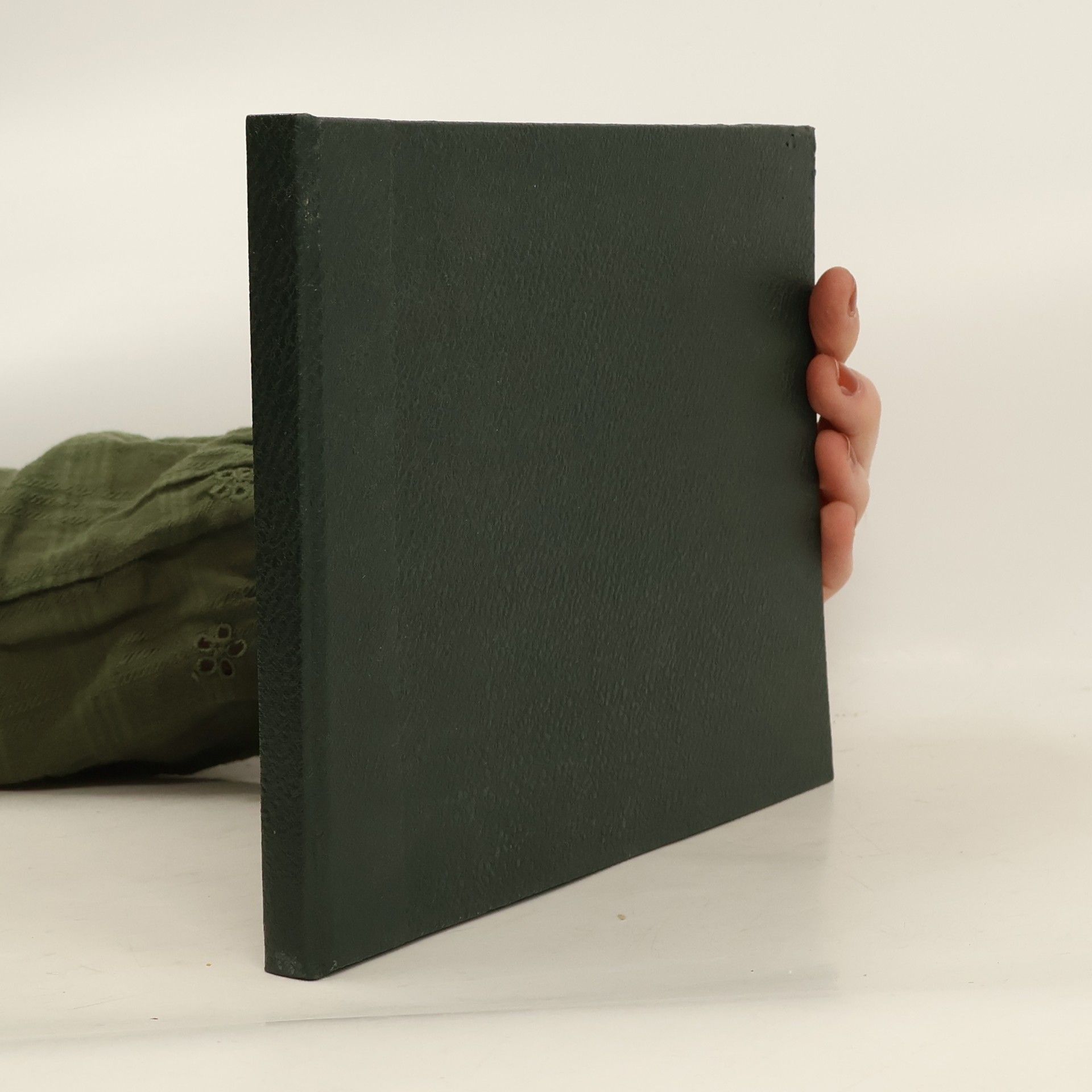 Erik Benesch Führer auf die Schneealpe