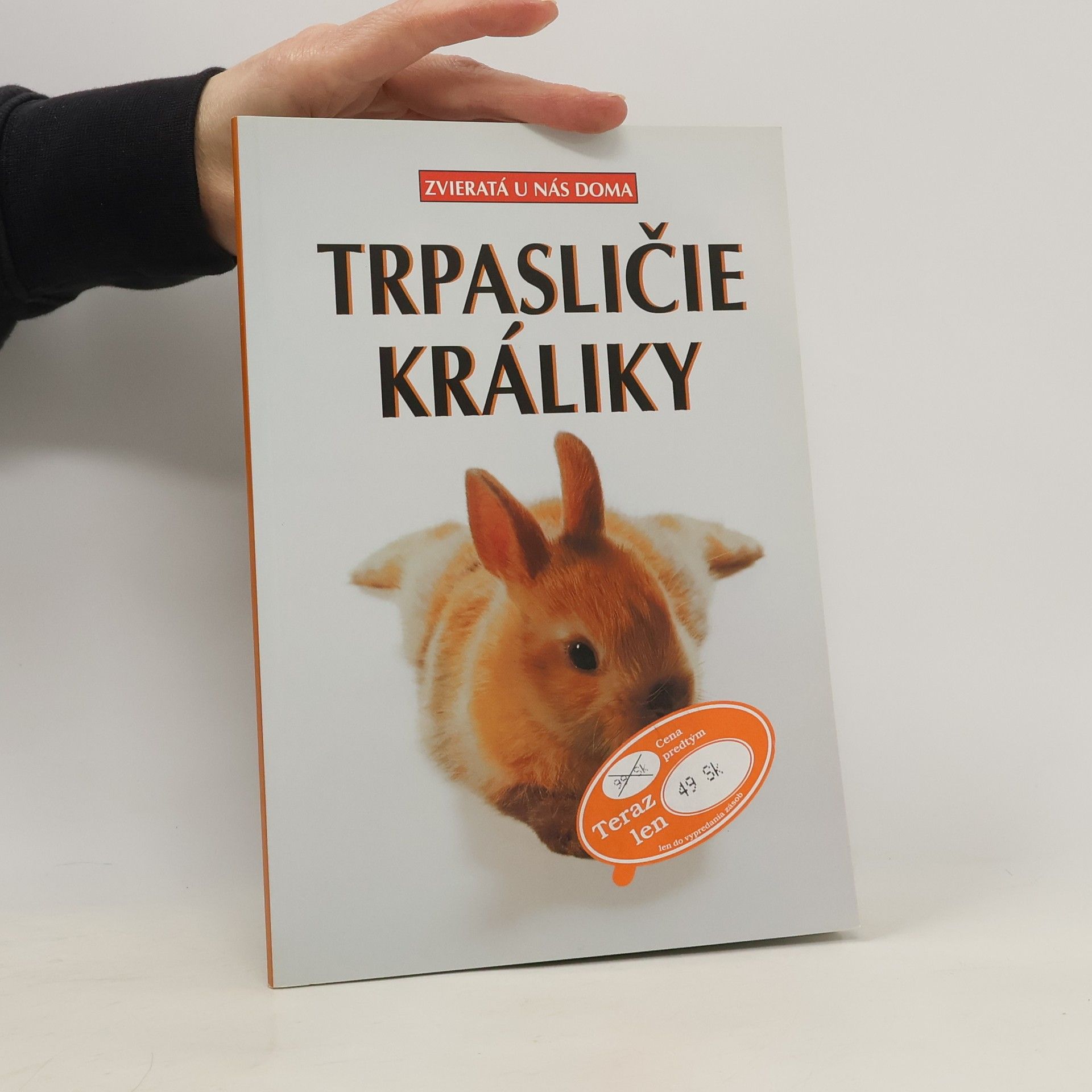 Michael Mettler Trpasličie králiky