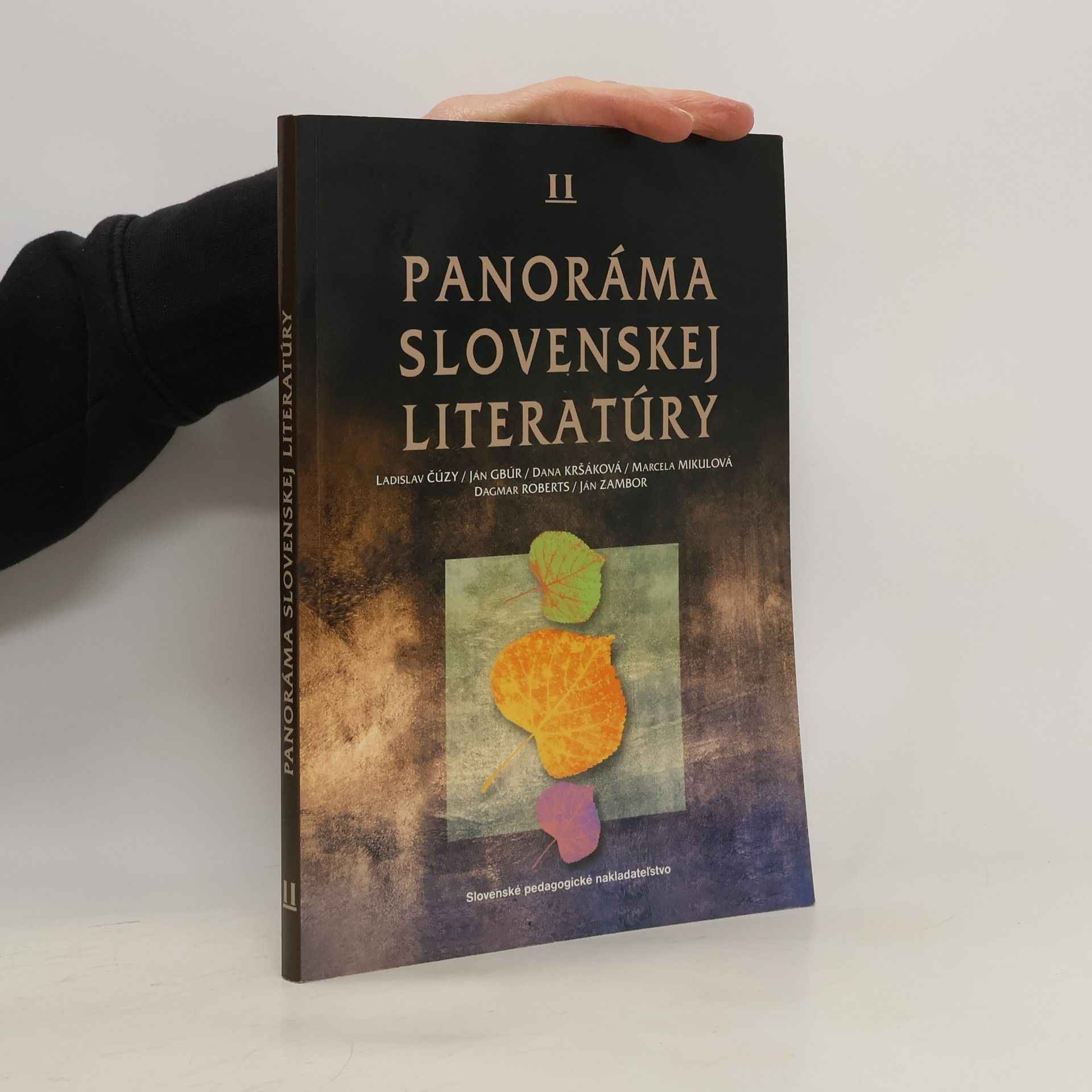 Autorenkollektiv Panoráma slovenskej literatúry II