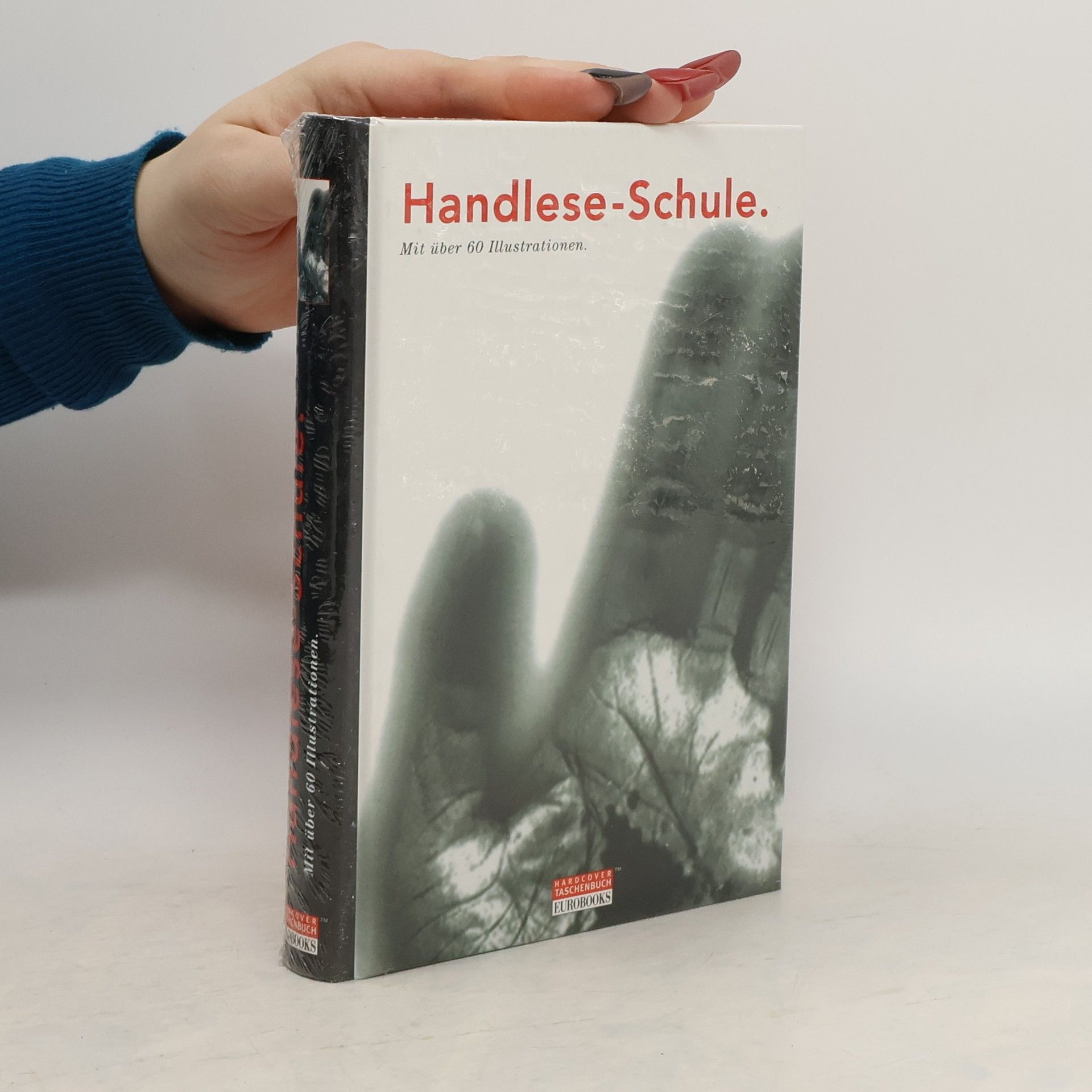 kolektiv Handlese-Schule