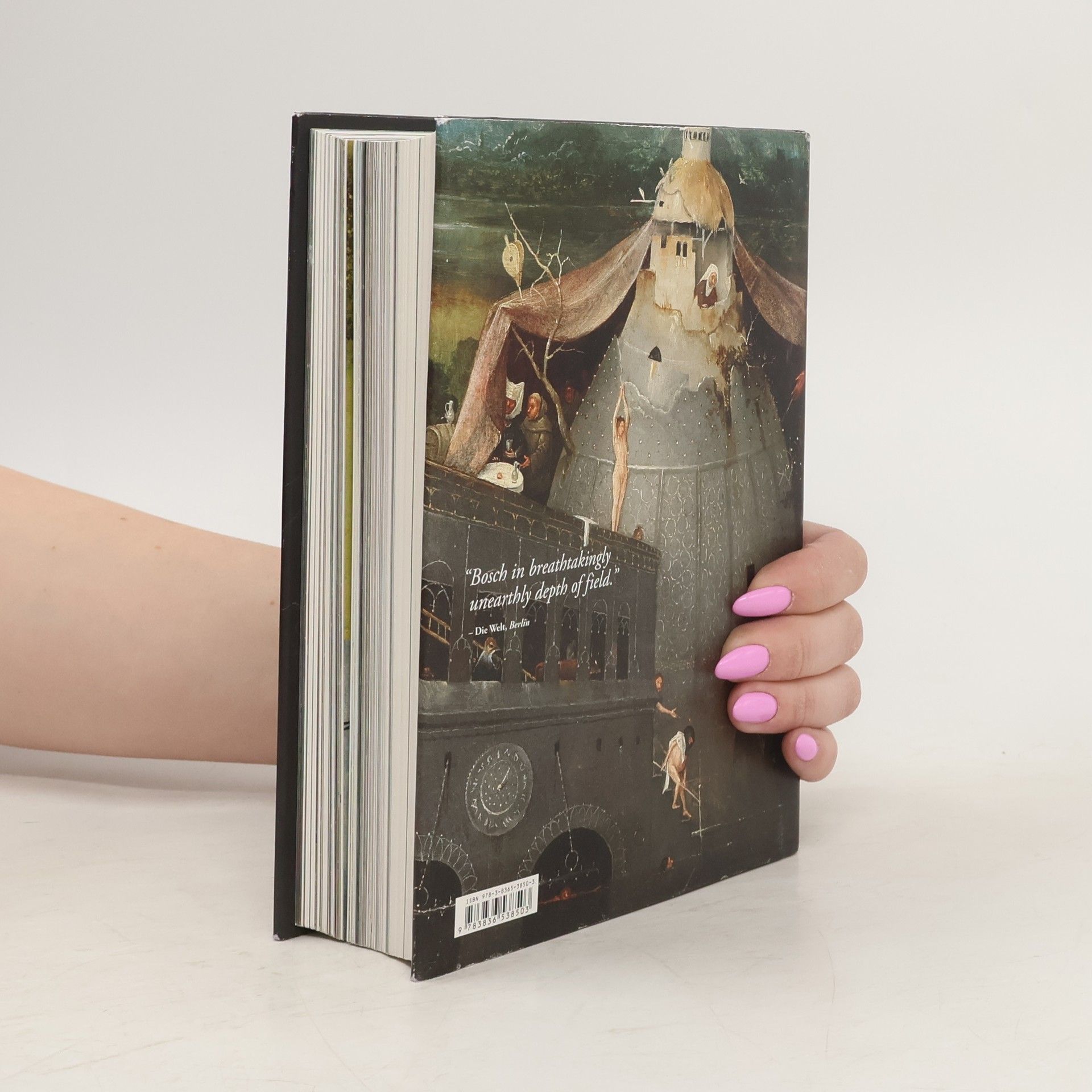 Stefan Fischer Hieronimus Bosch: The complete works