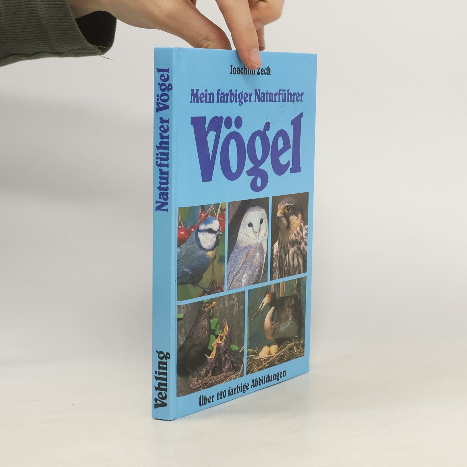 Joachim Zech Mein farbiger Naturführer. Vögel