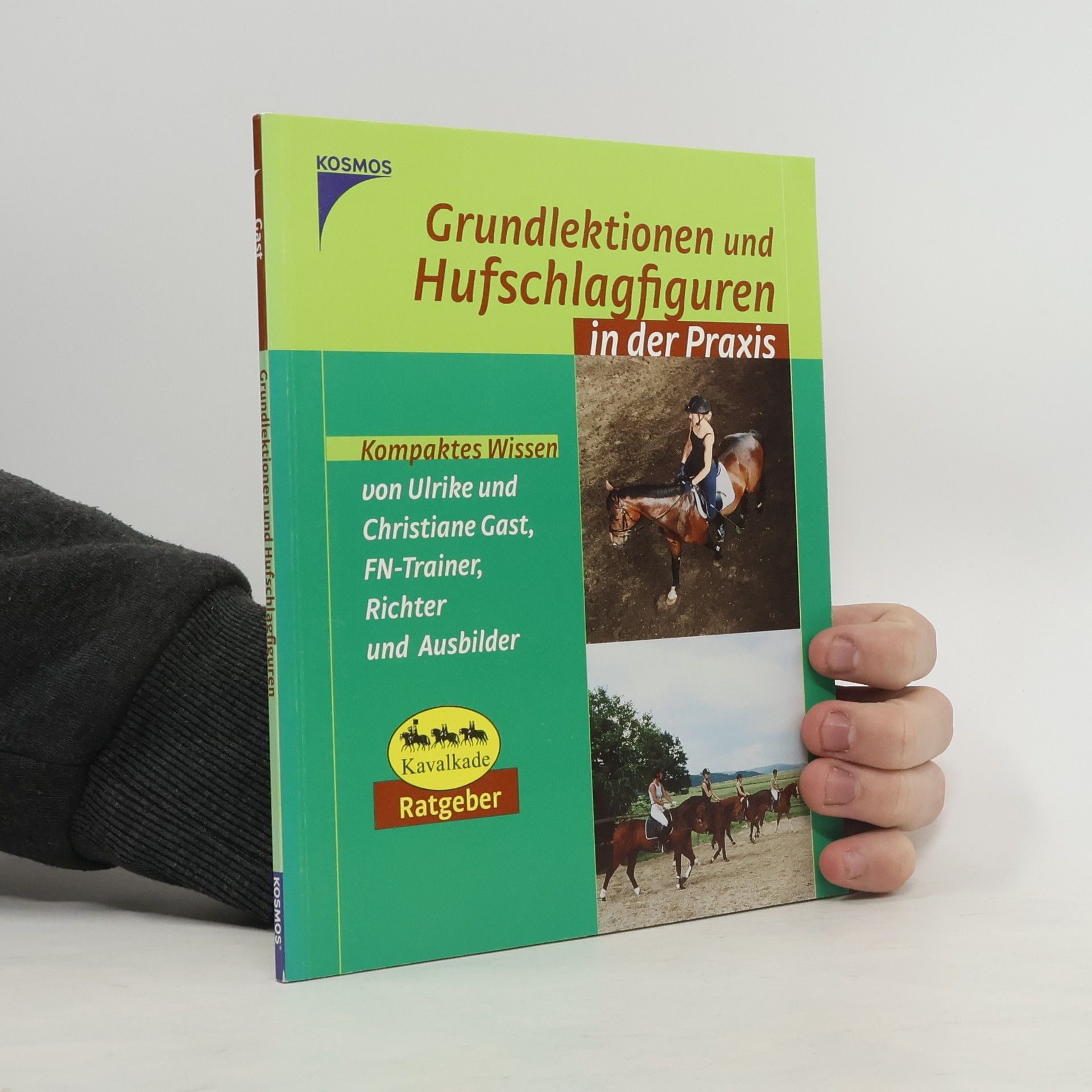 Grundlektionen und Hufschlagfiguren
